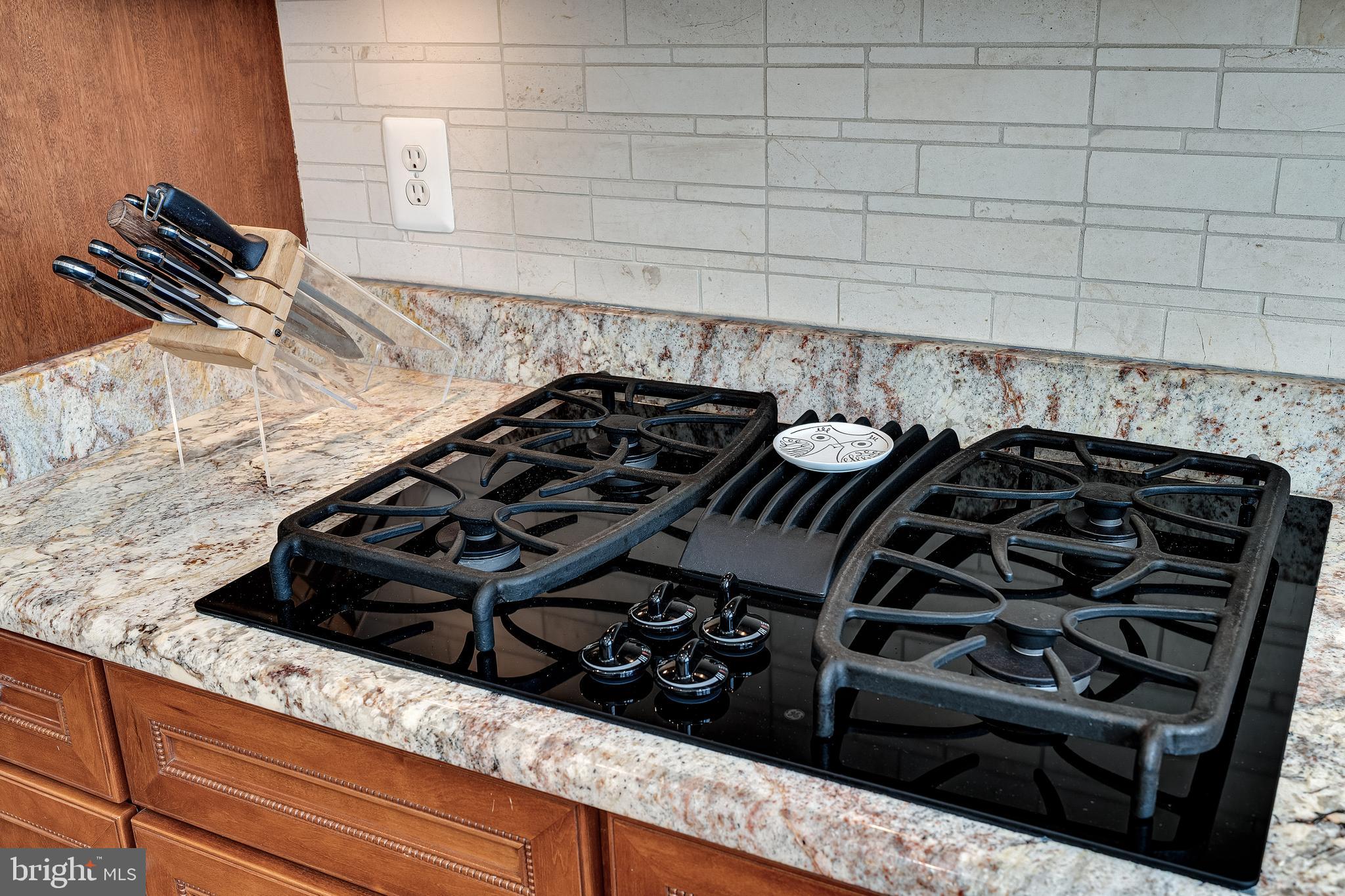 1769 POTOMAC GREENS DRIVE