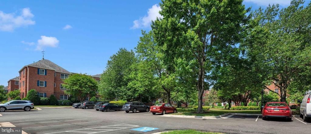 1700 W ABINGDON DRIVE Unit: 203