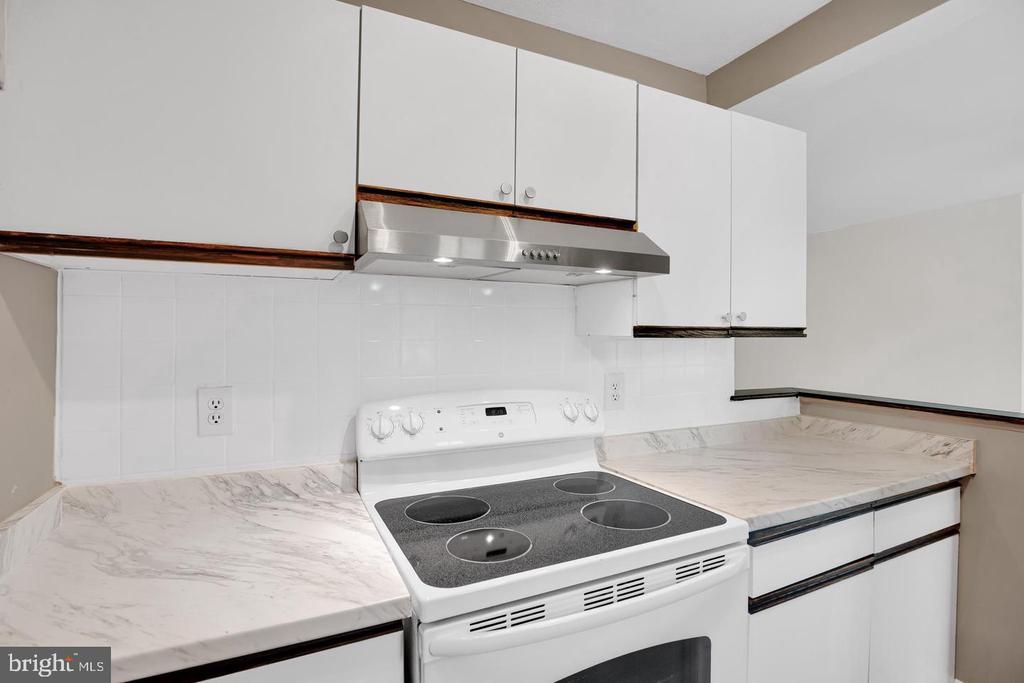 1700 W ABINGDON DRIVE Unit: 203