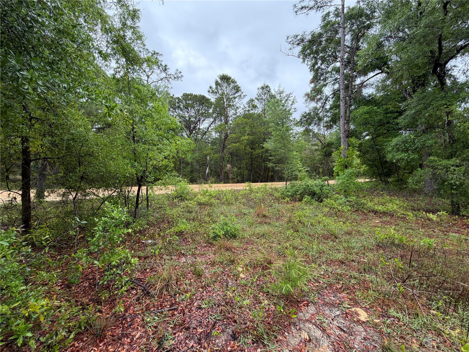 301 RAINBOW DR