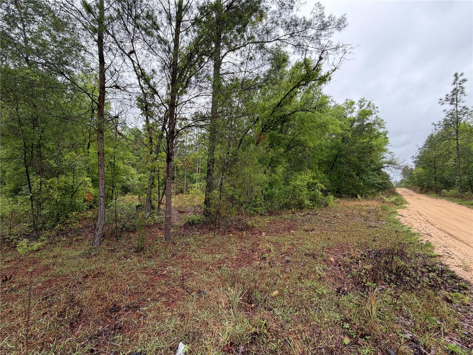 301 RAINBOW DR