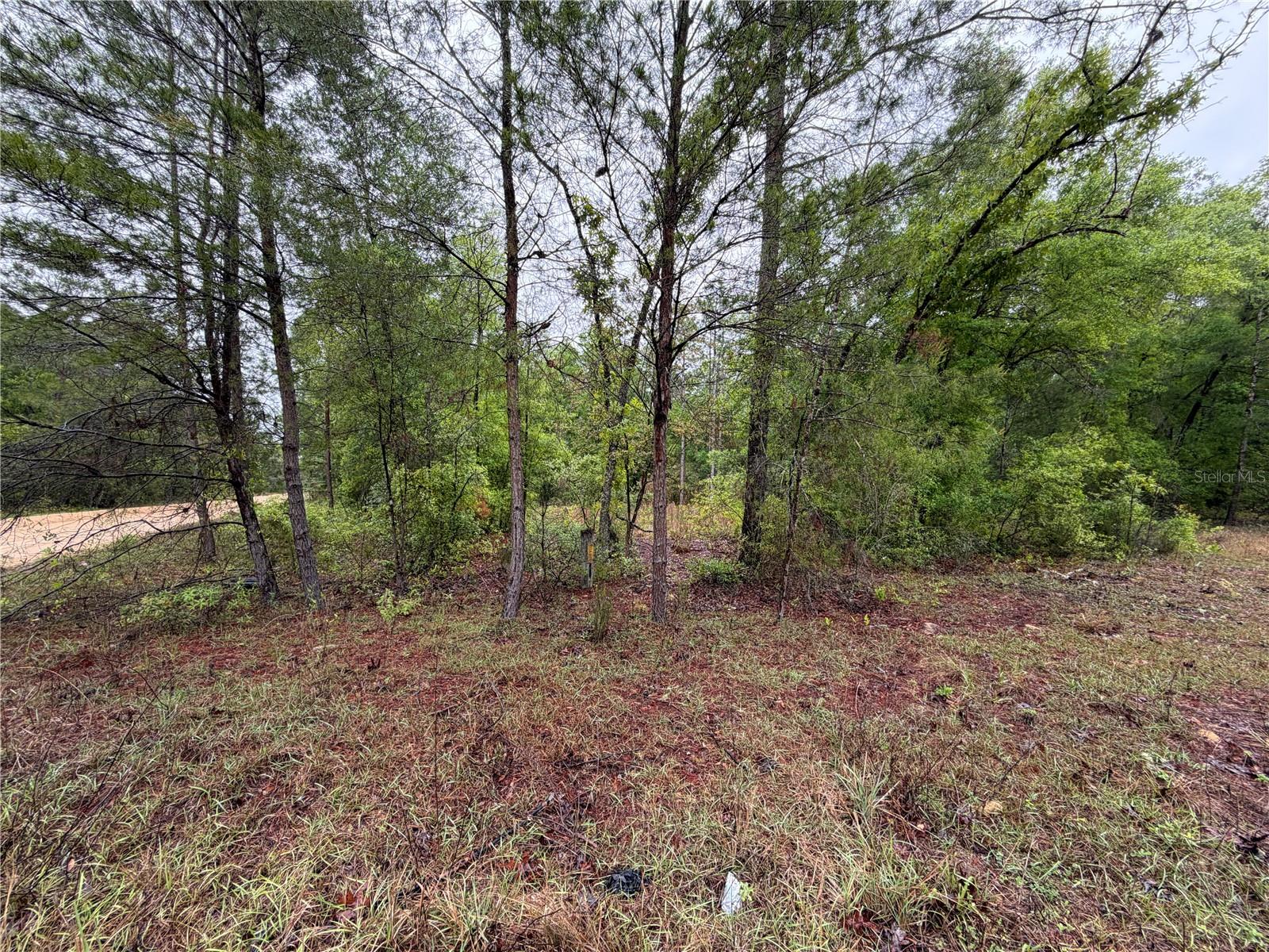 301 RAINBOW DR