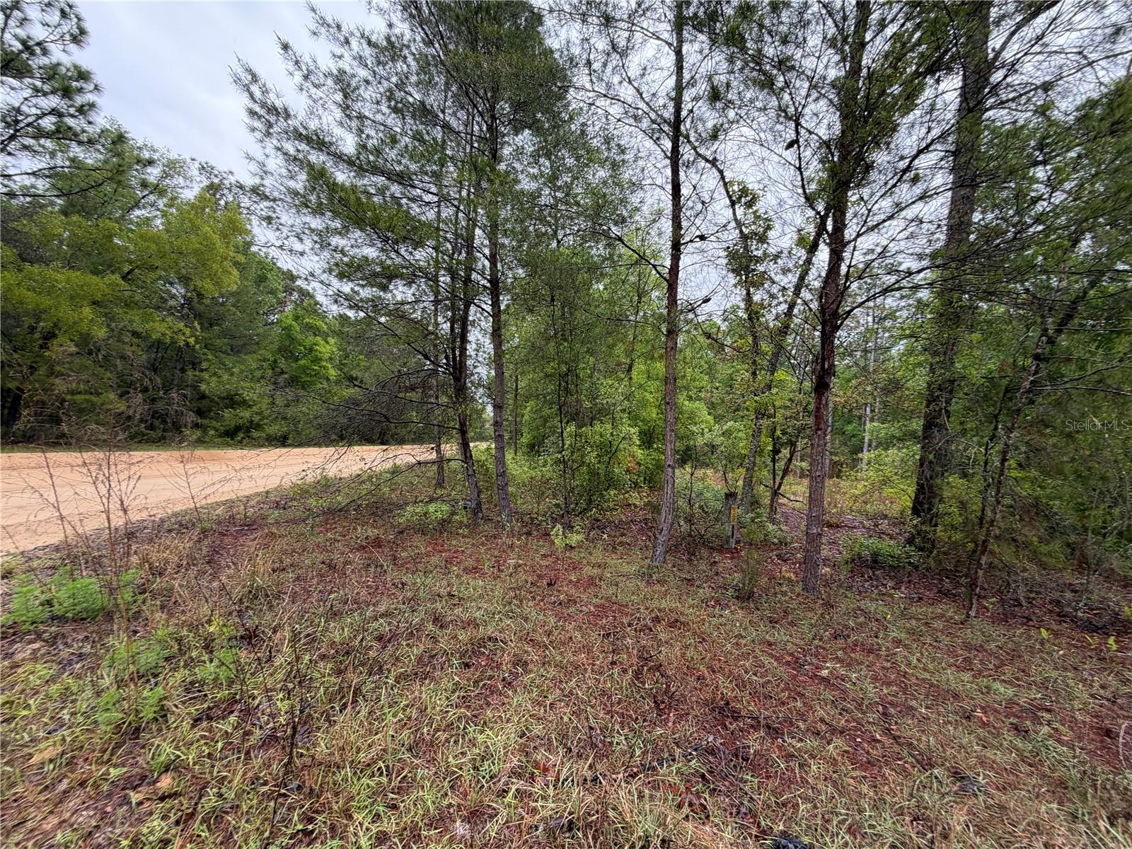 301 RAINBOW DR