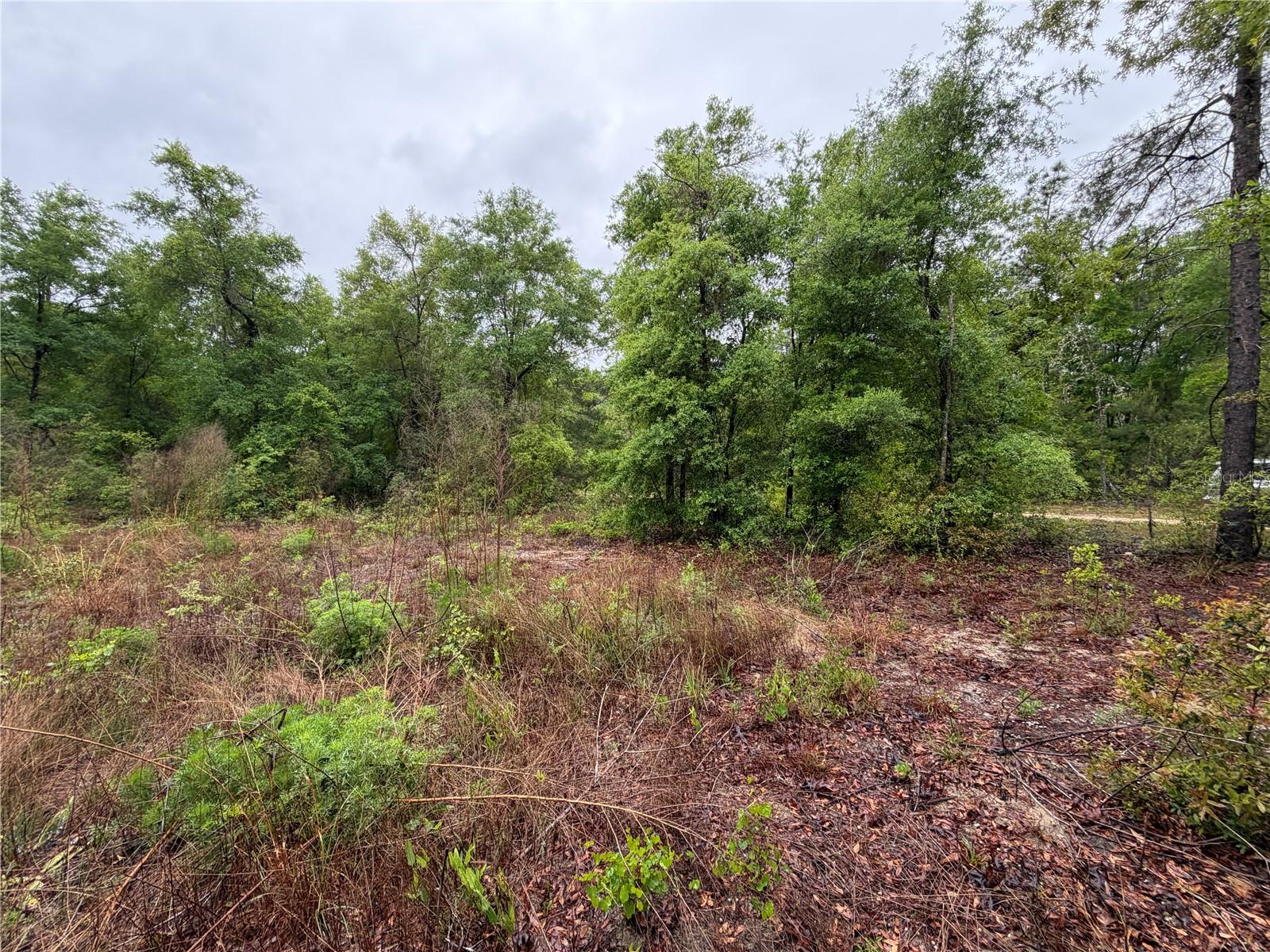 301 RAINBOW DR