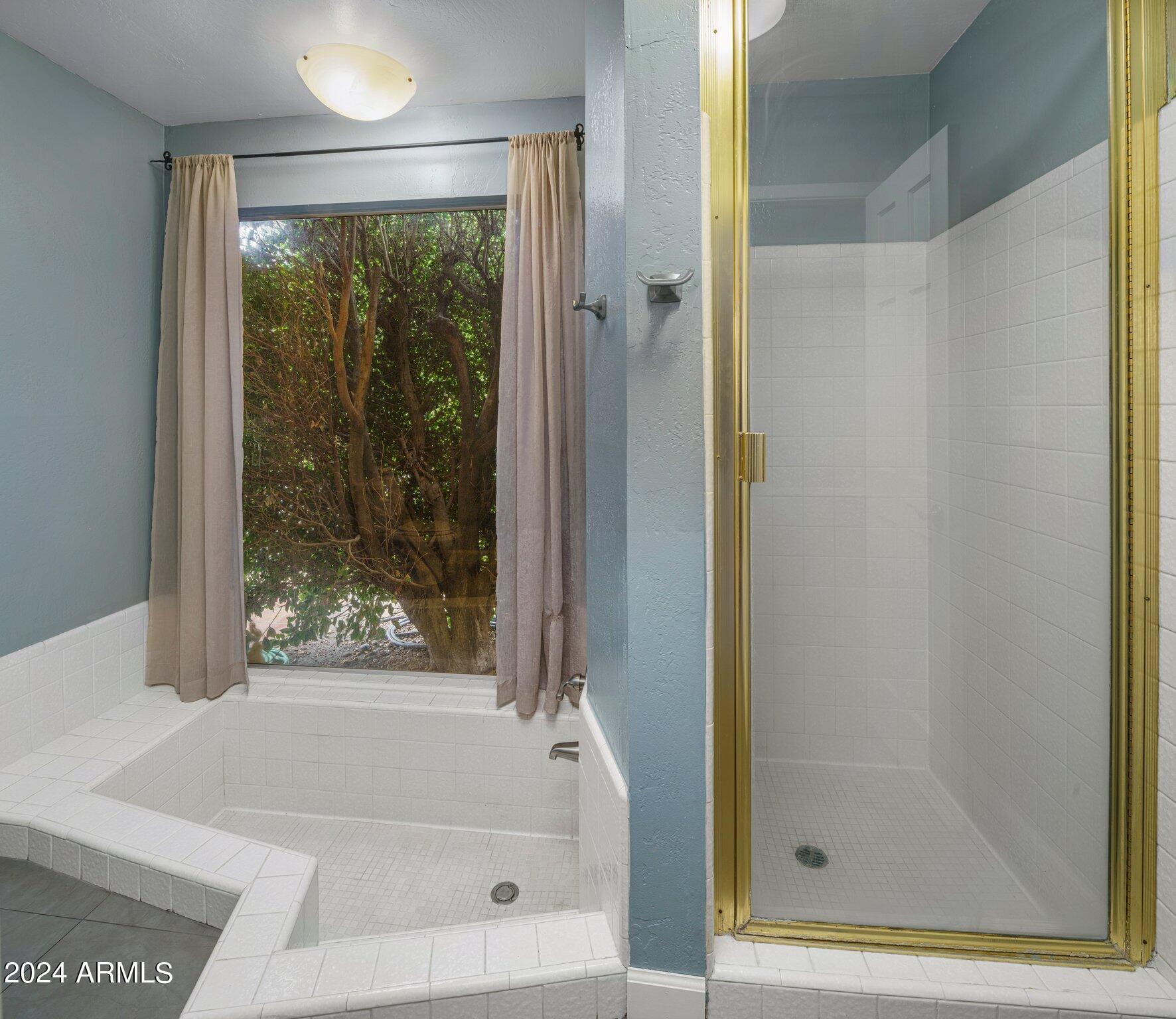 339 W LAS PALMARITAS Drive
