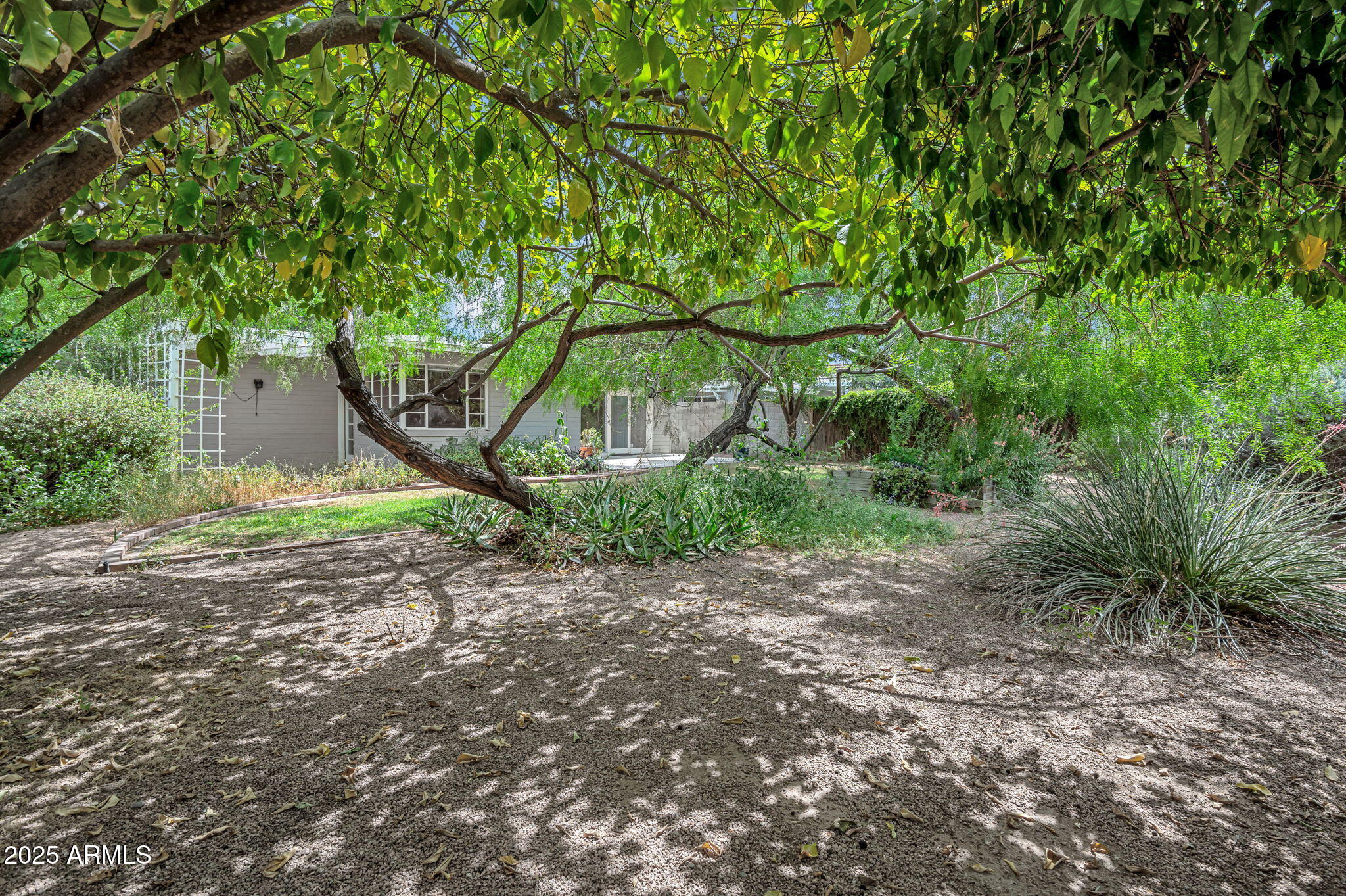 302 E ORANGE Drive