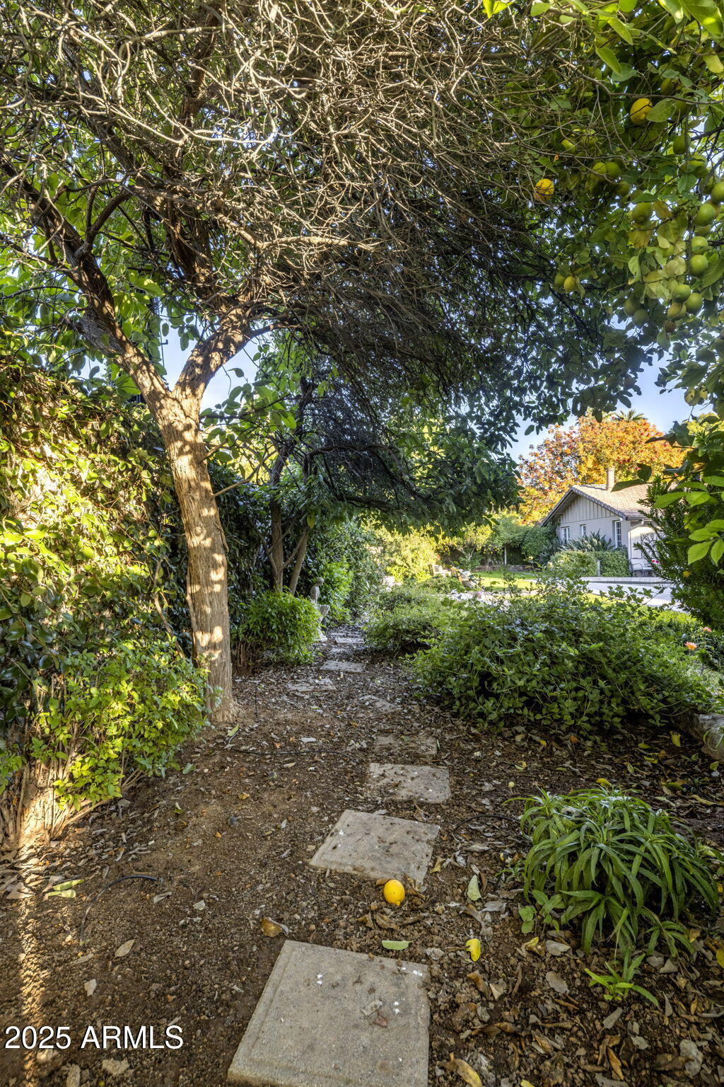 516 W LAWRENCE Road