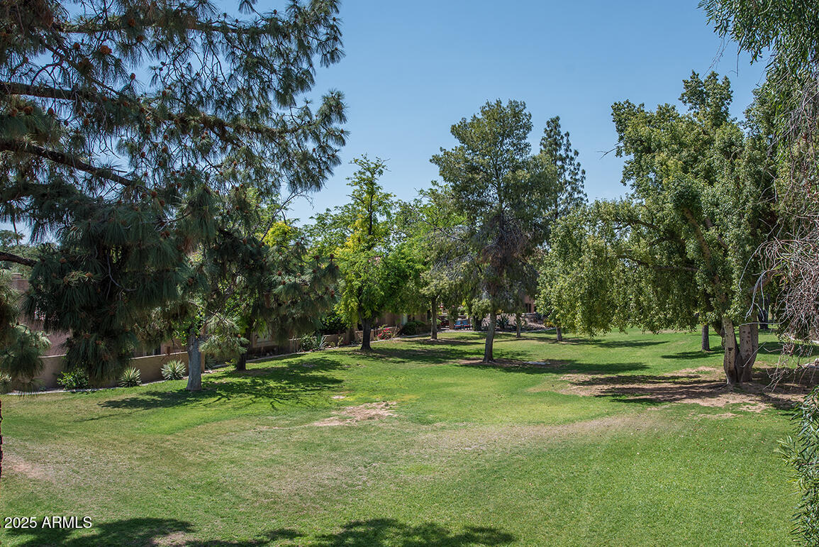 7316 N VIA CAMELLO DEL NORTE 106