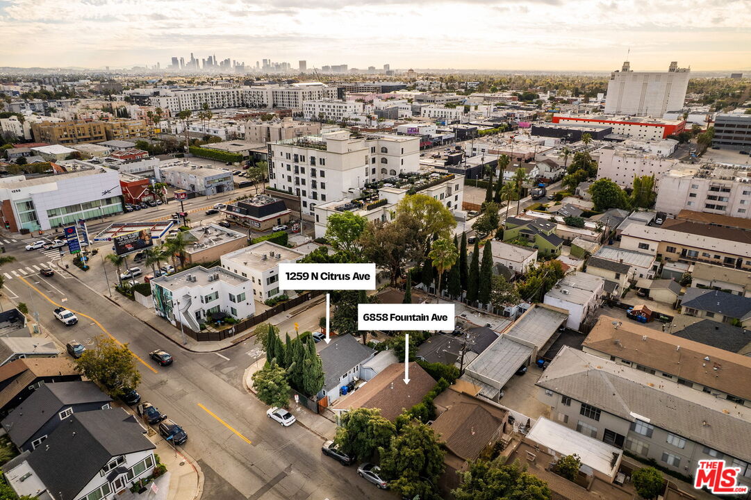 1259 N Citrus Ave