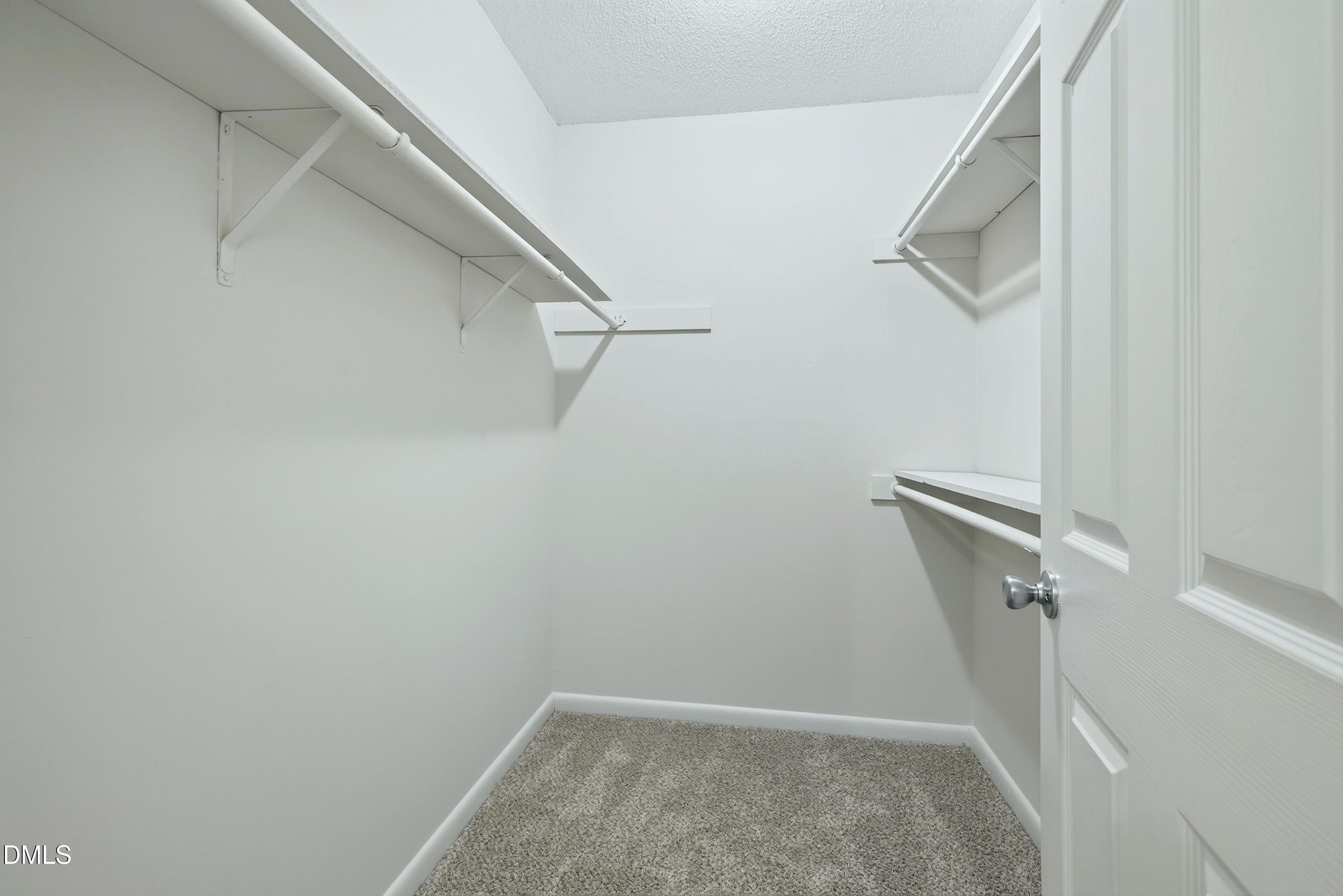 Walk-in closet with white shelves and hanging rods, carpeted floor, and an open door.