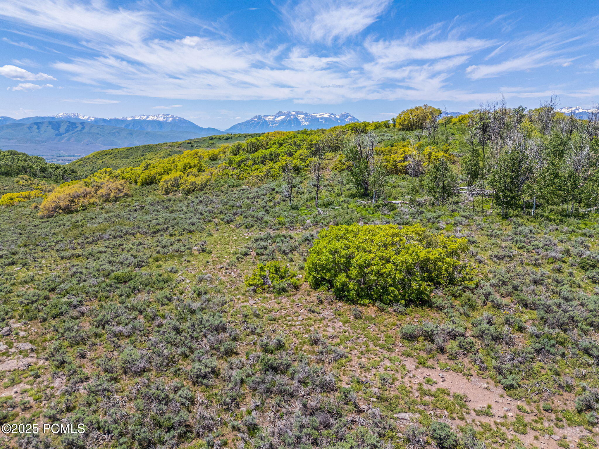 7367 E Forest Creek Road