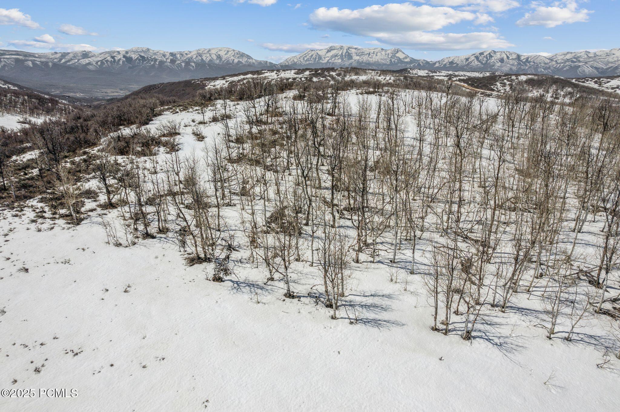 7367 E Forest Creek Road