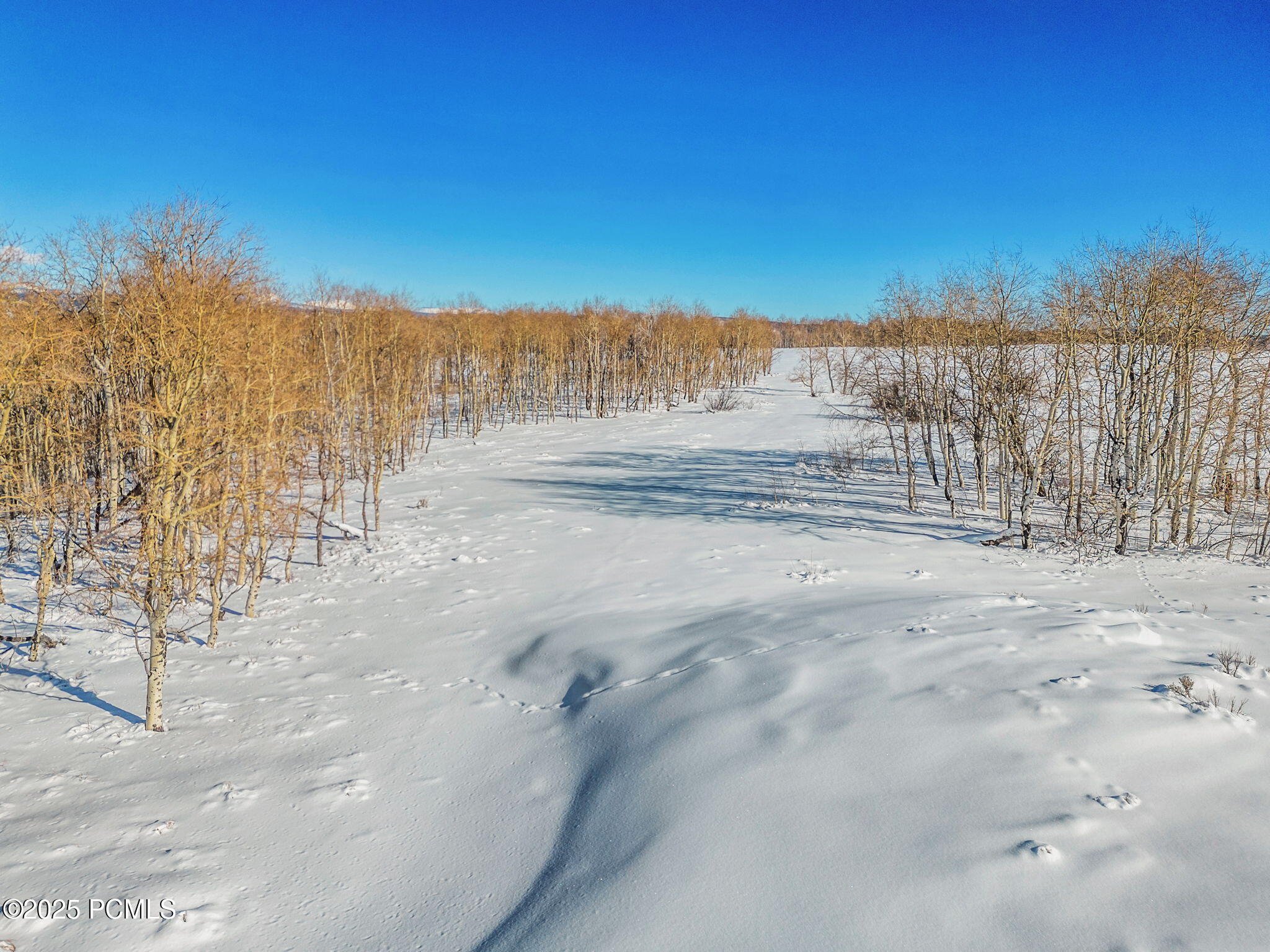 2980 N Wolf Creek Ranch Road