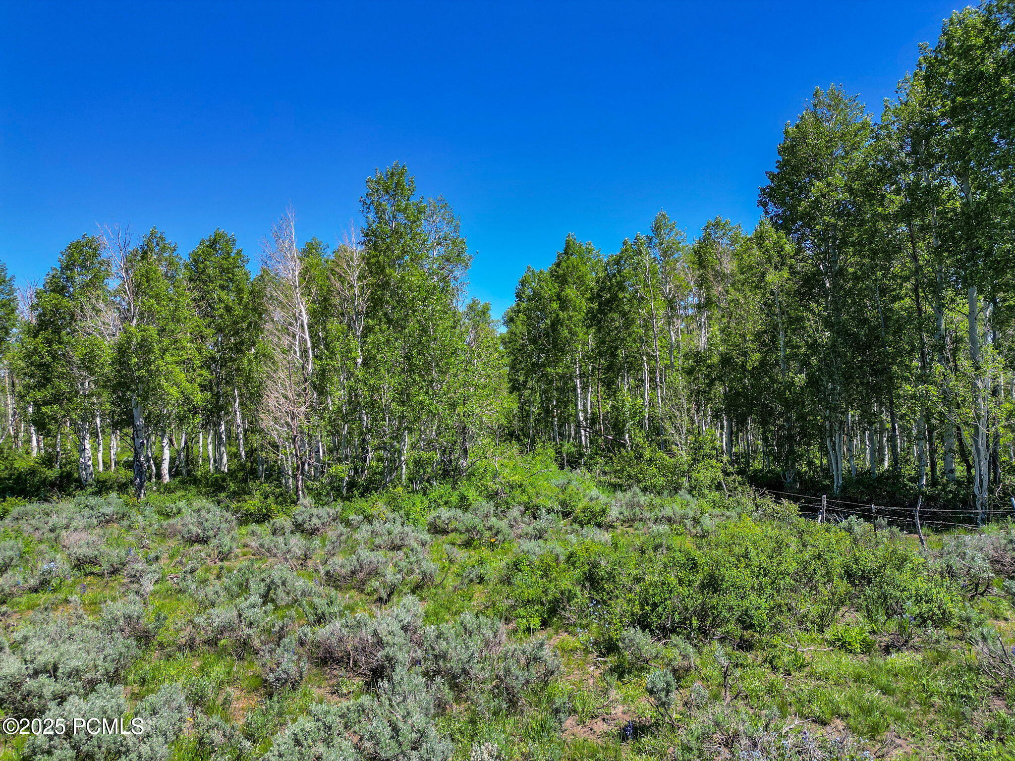 2980 N Wolf Creek Ranch Road
