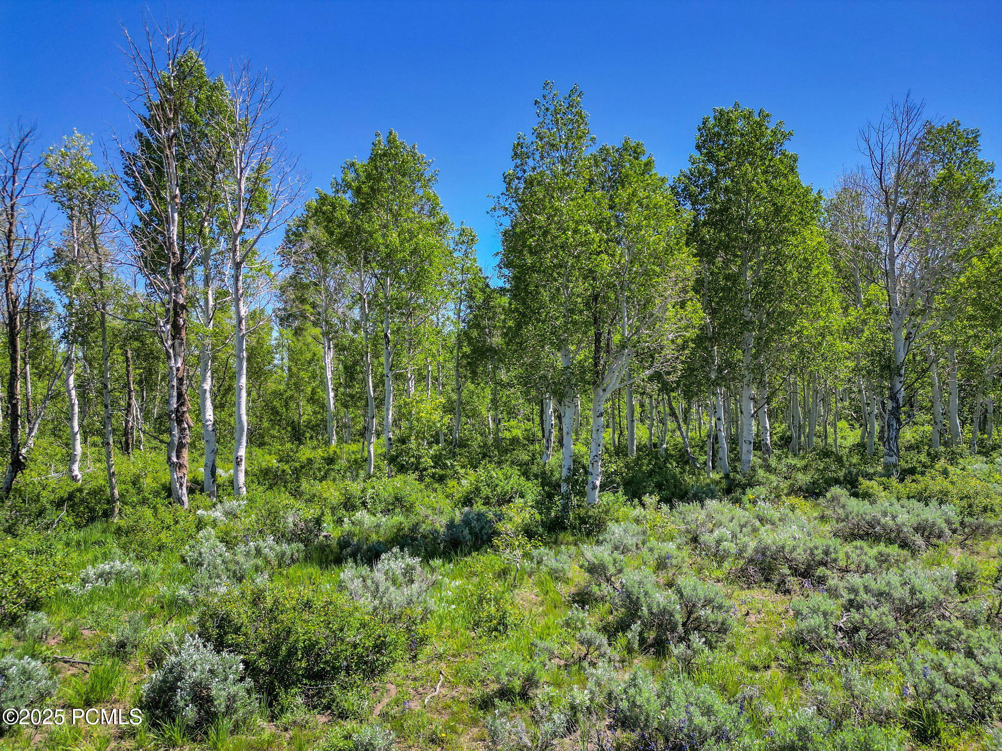 2980 N Wolf Creek Ranch Road