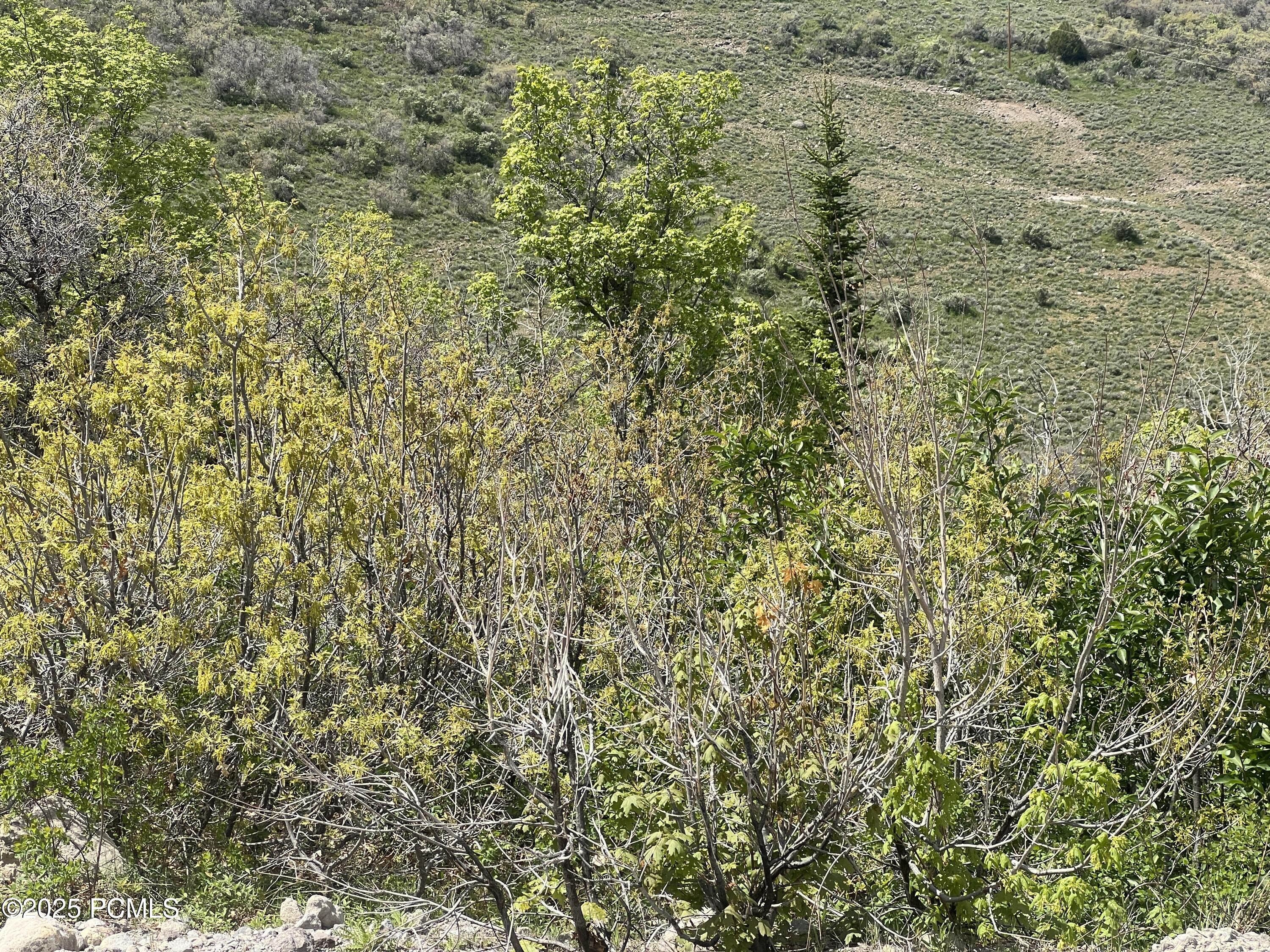 5012 S Sheep Dog Trail