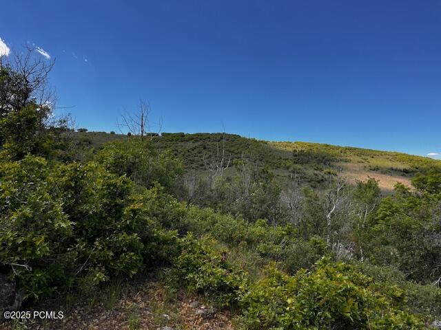 5012 S Sheep Dog Trail