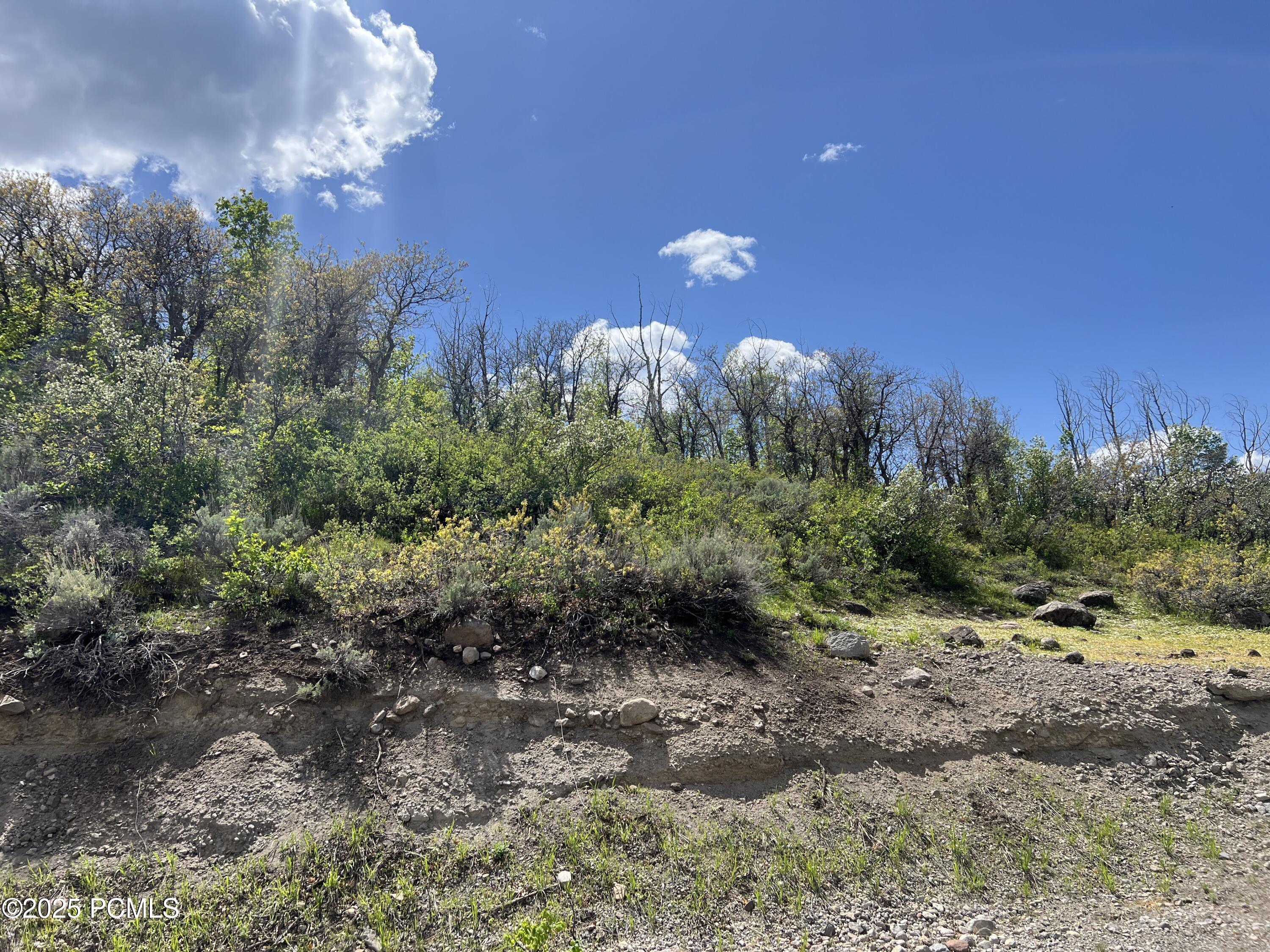 5012 S Sheep Dog Trail