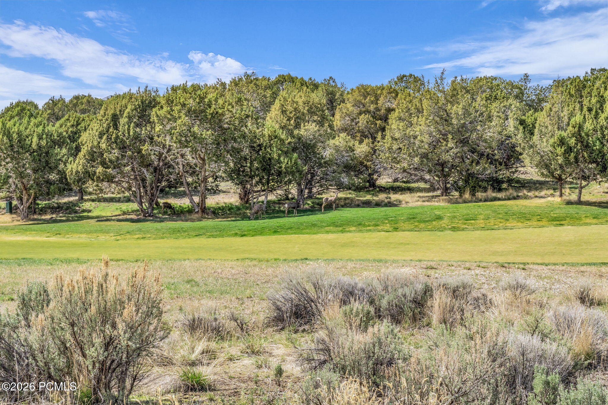 581 N Red Mountain Court 211