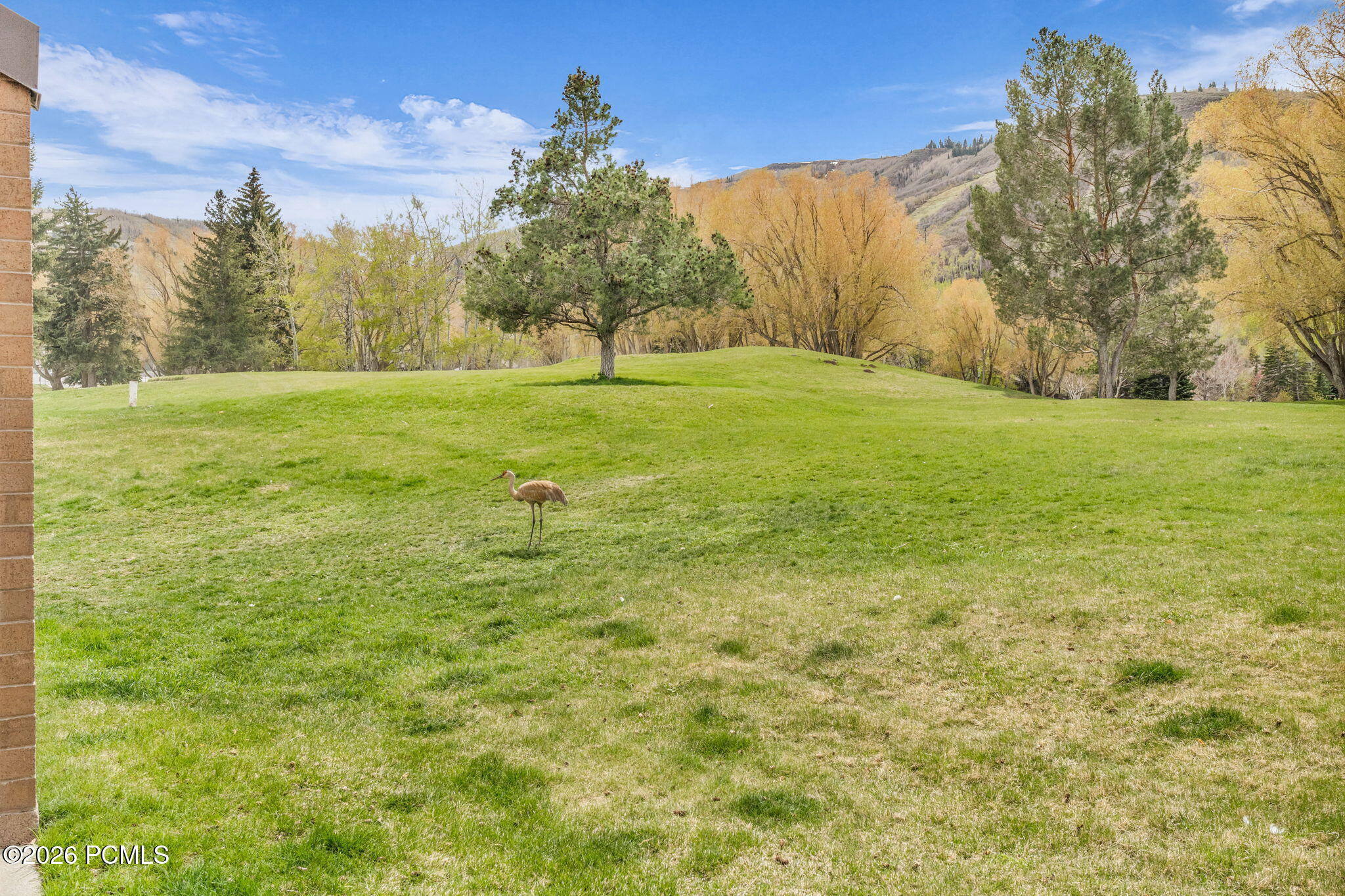 1695 Captain Molly Drive