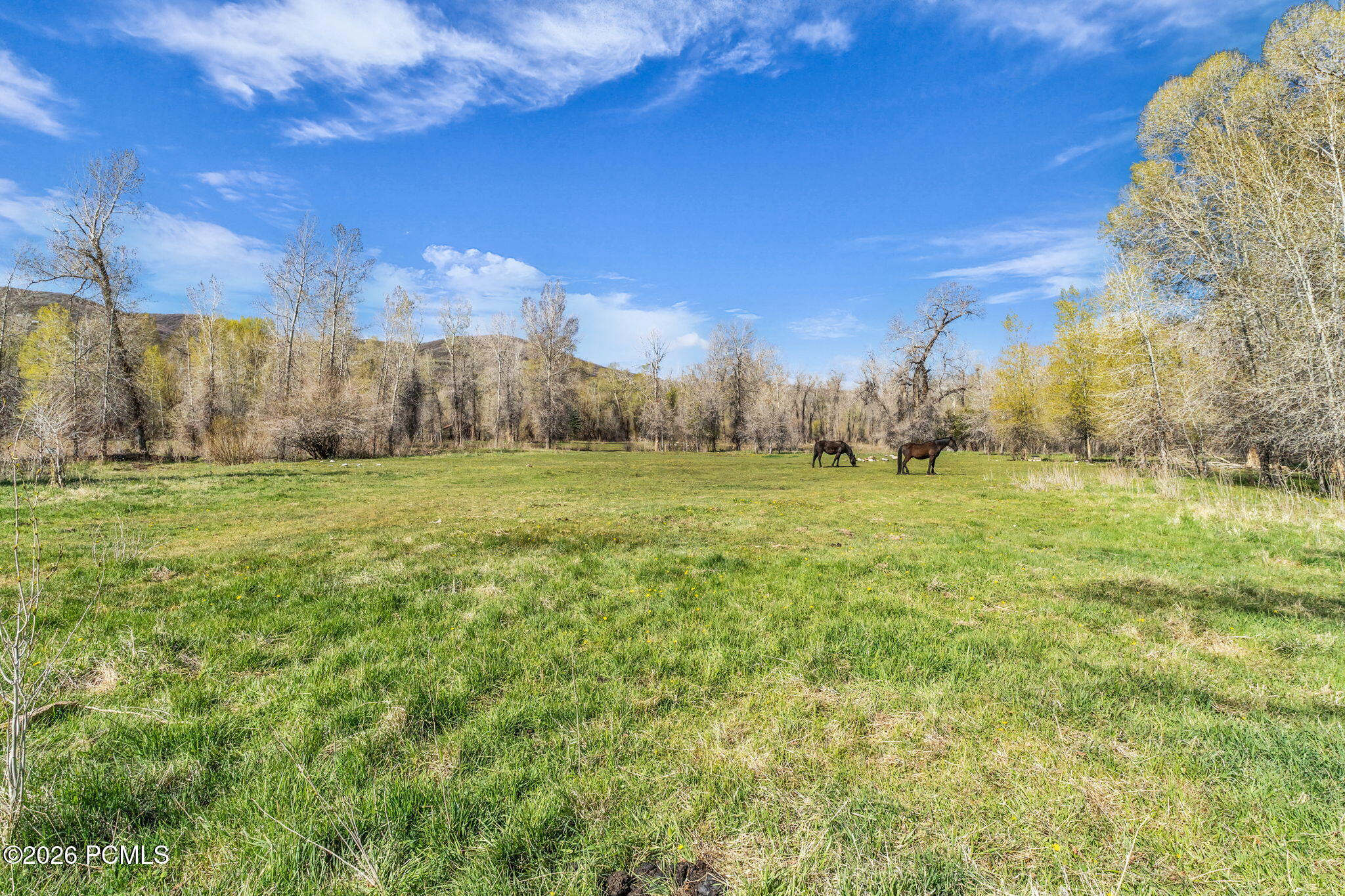No Situs (S. Bench Creek- Cd-2202-A)