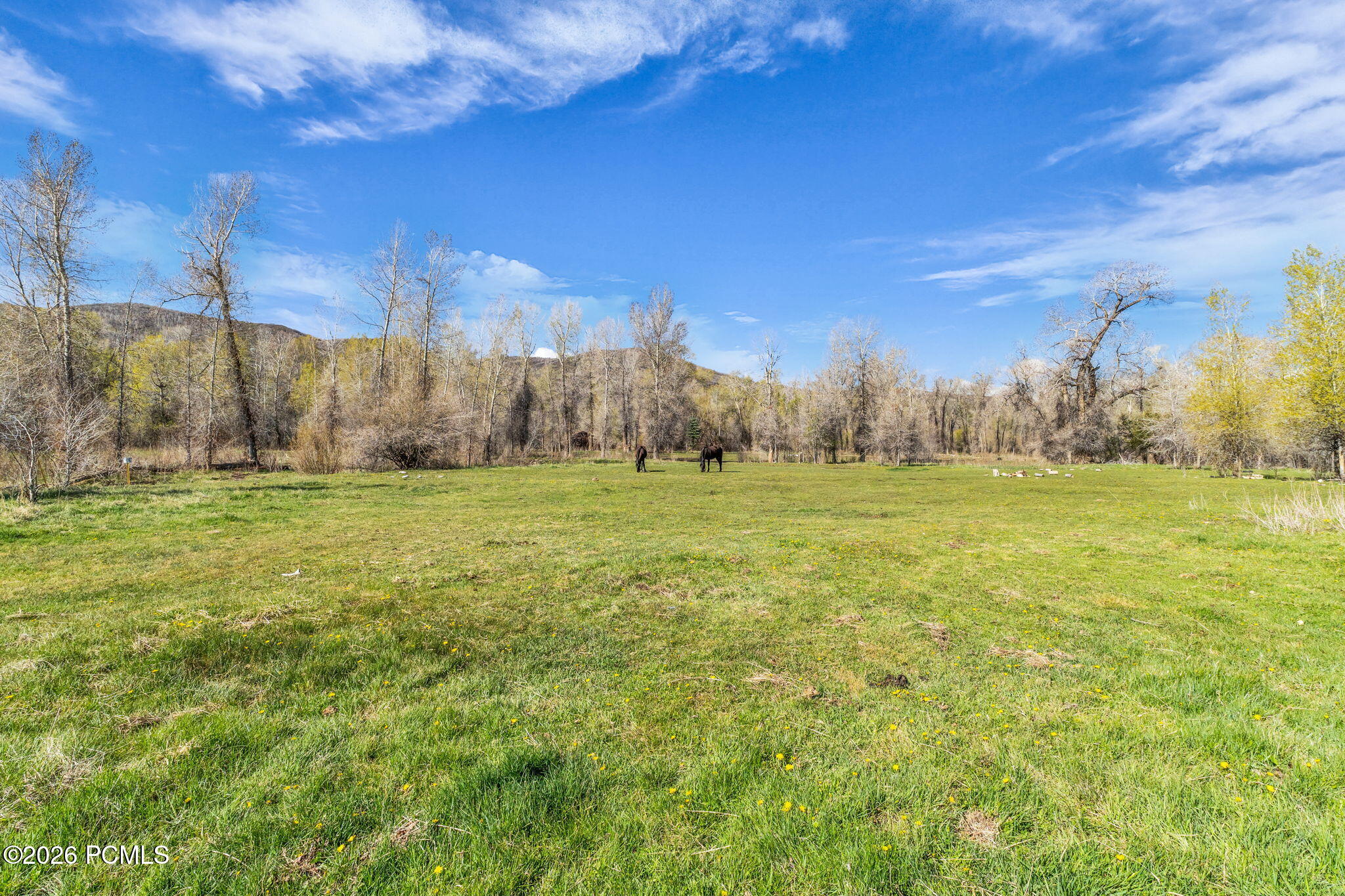 No Situs (S. Bench Creek- Cd-2202-A)