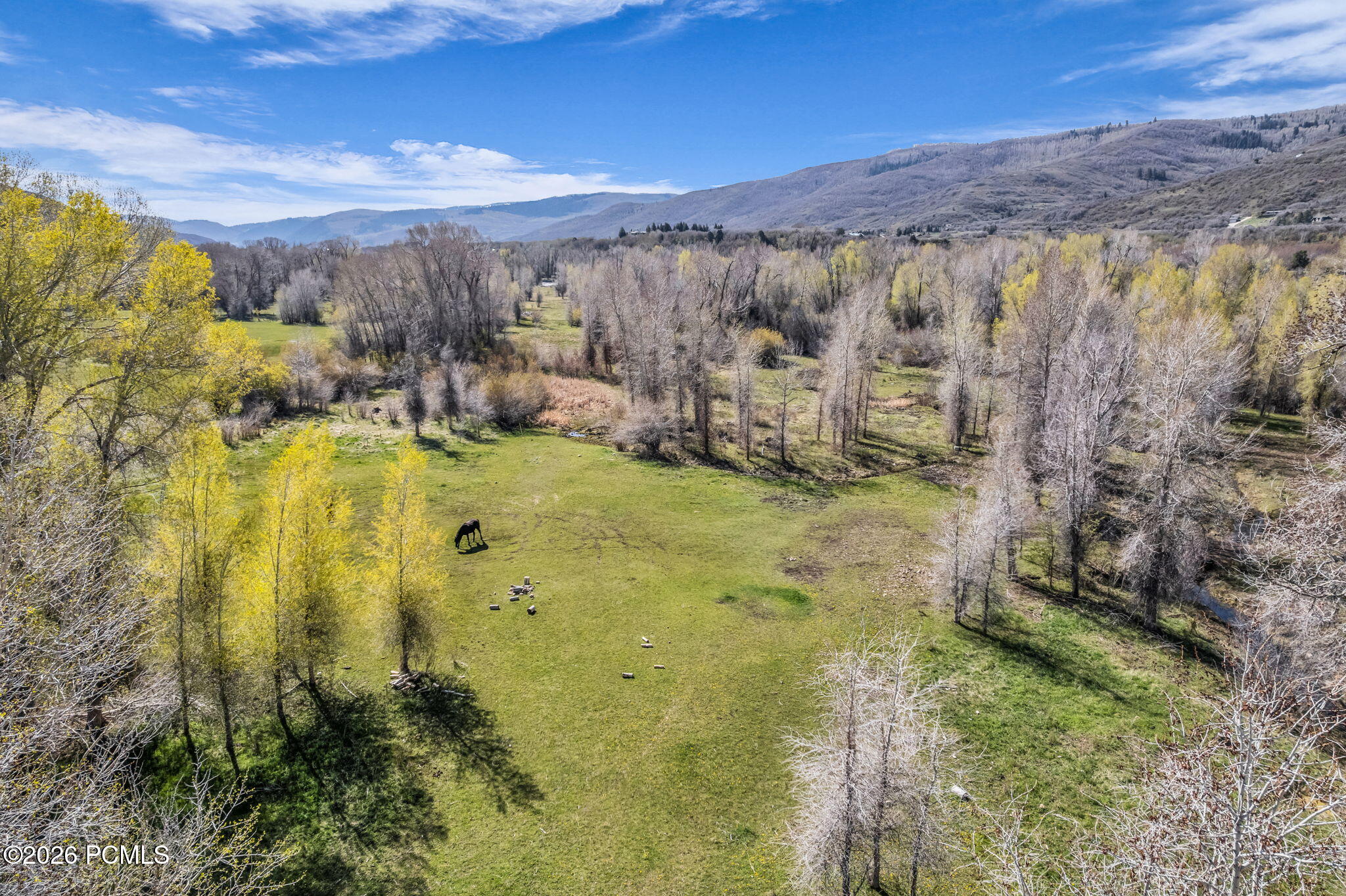 No Situs (S. Bench Creek- Cd-2202-A)