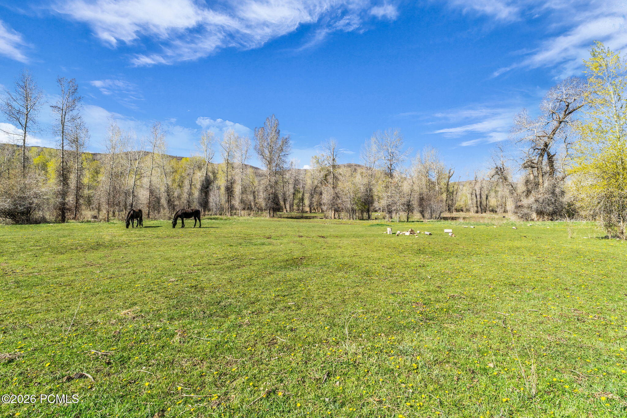 No Situs (S. Bench Creek- Cd-2202-A)