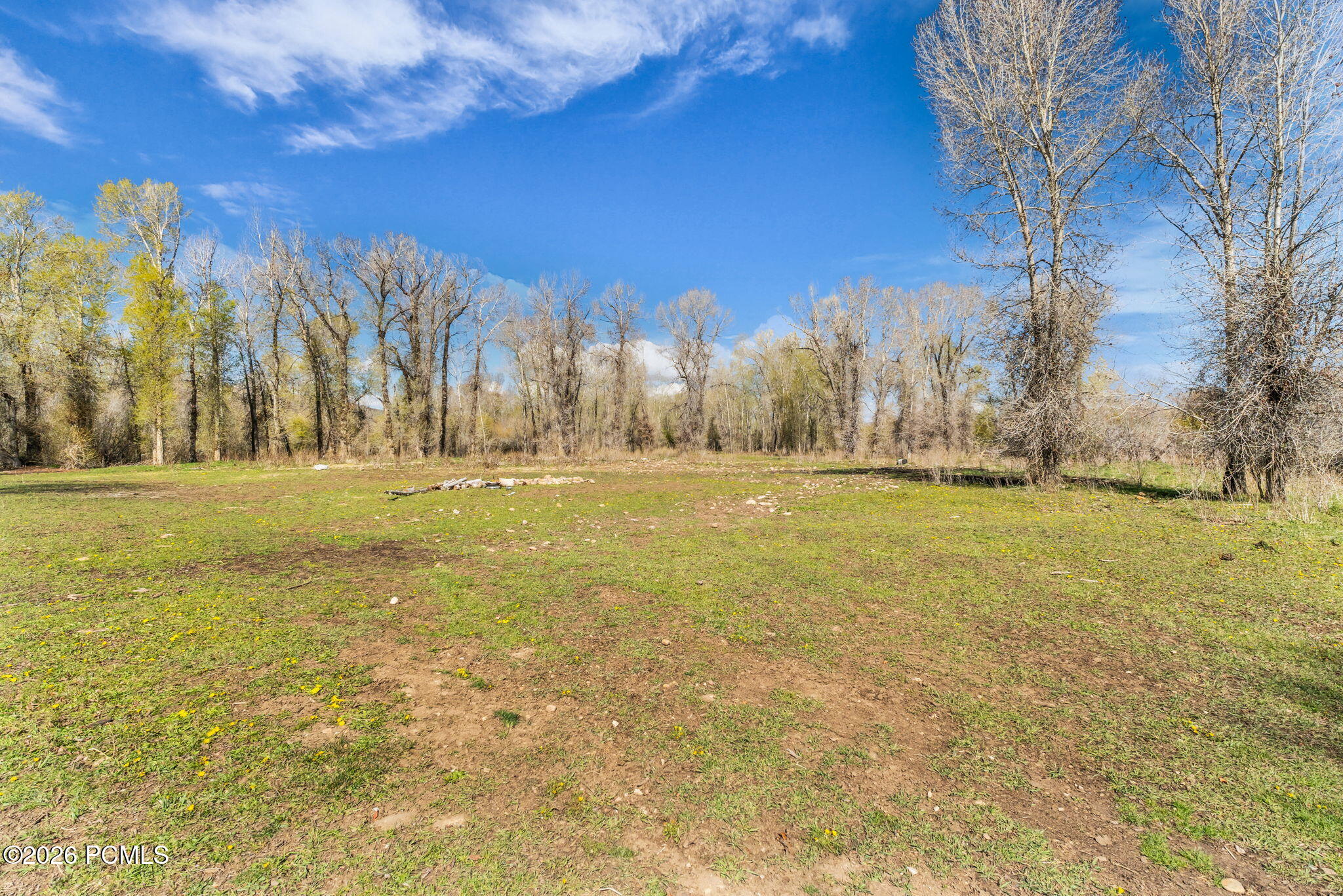 No Situs (S. Bench Creek- Cd-2202-A)