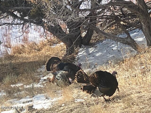 8398 N Highway 302