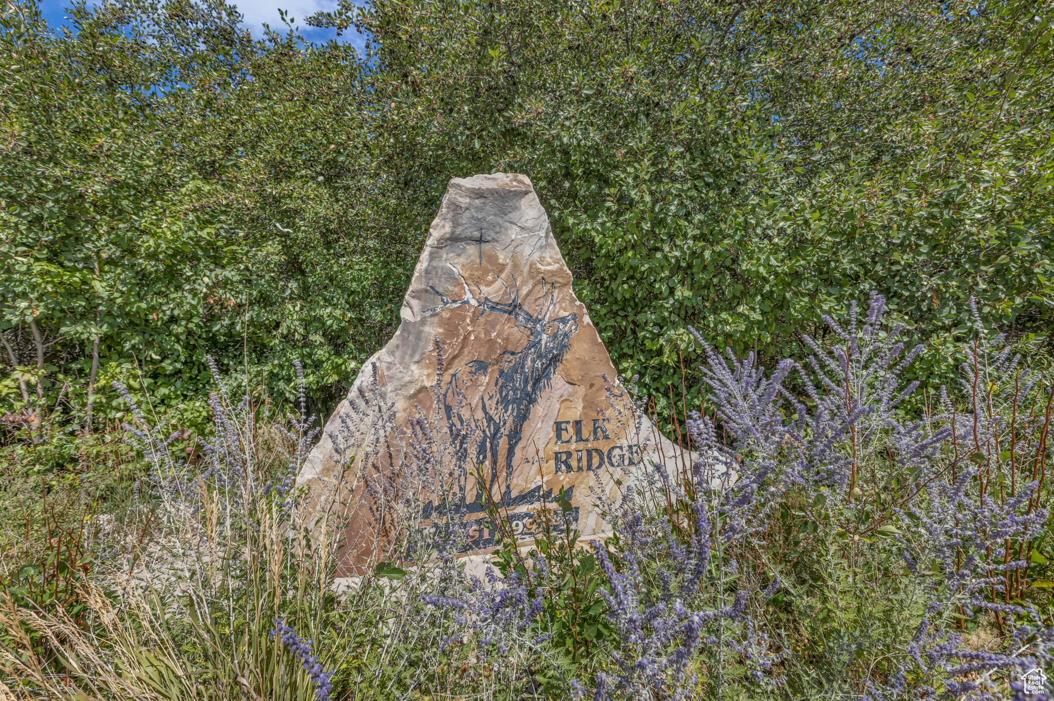 6325 N ELK RIDGE RD Unit: 5