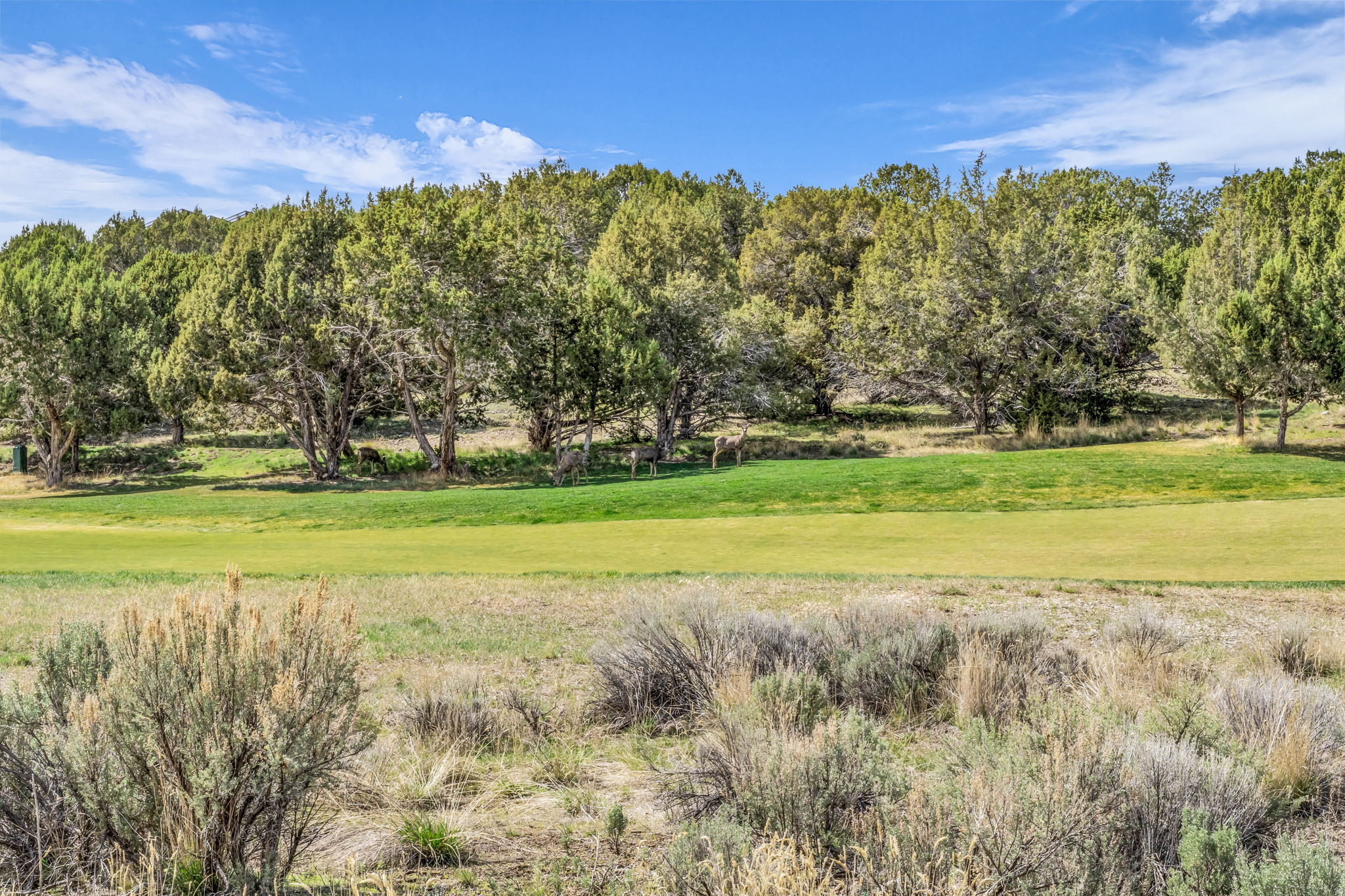 581 N RED MOUNTAIN CT Unit: 211