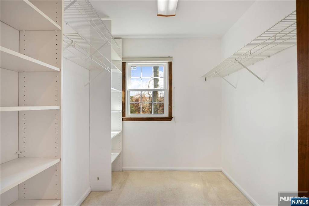 4 Pine Tree Drive