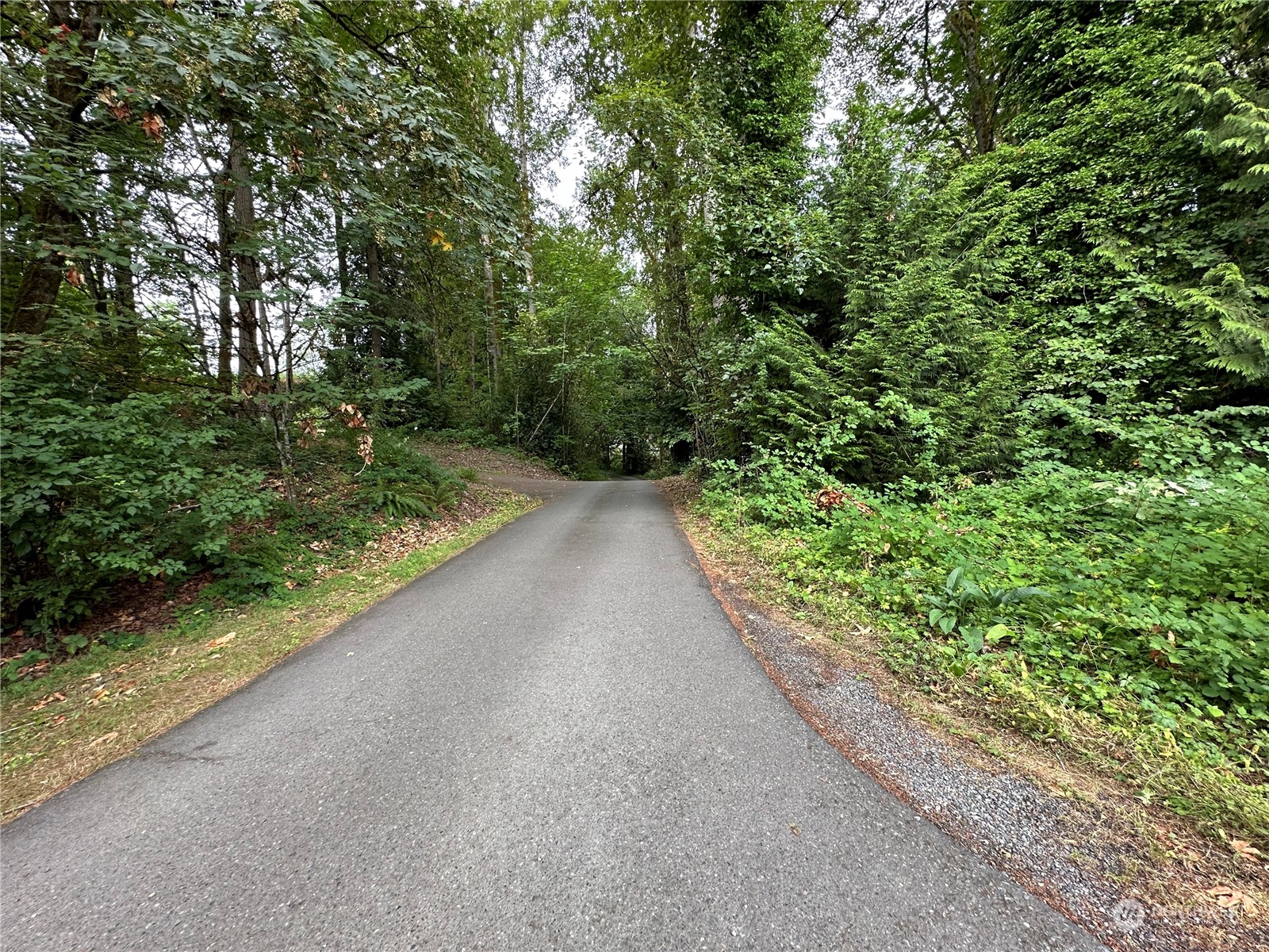 3650 Bel Red Road