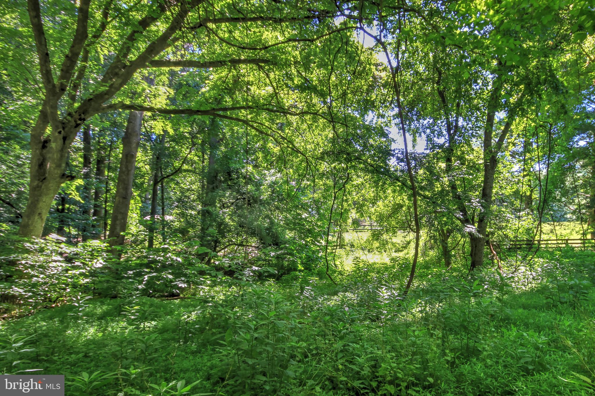 95 RIVER BIRCH DRIVE