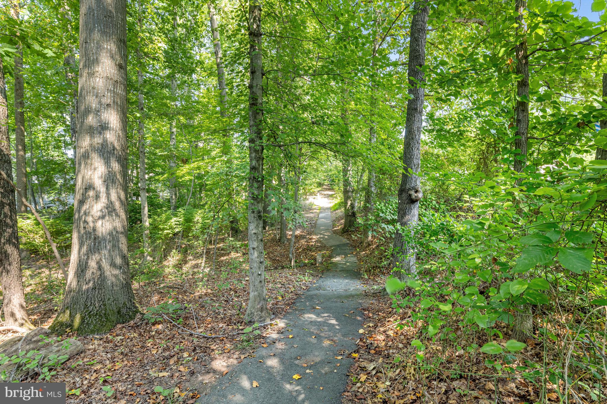 11529 BUTTONWOOD COURT