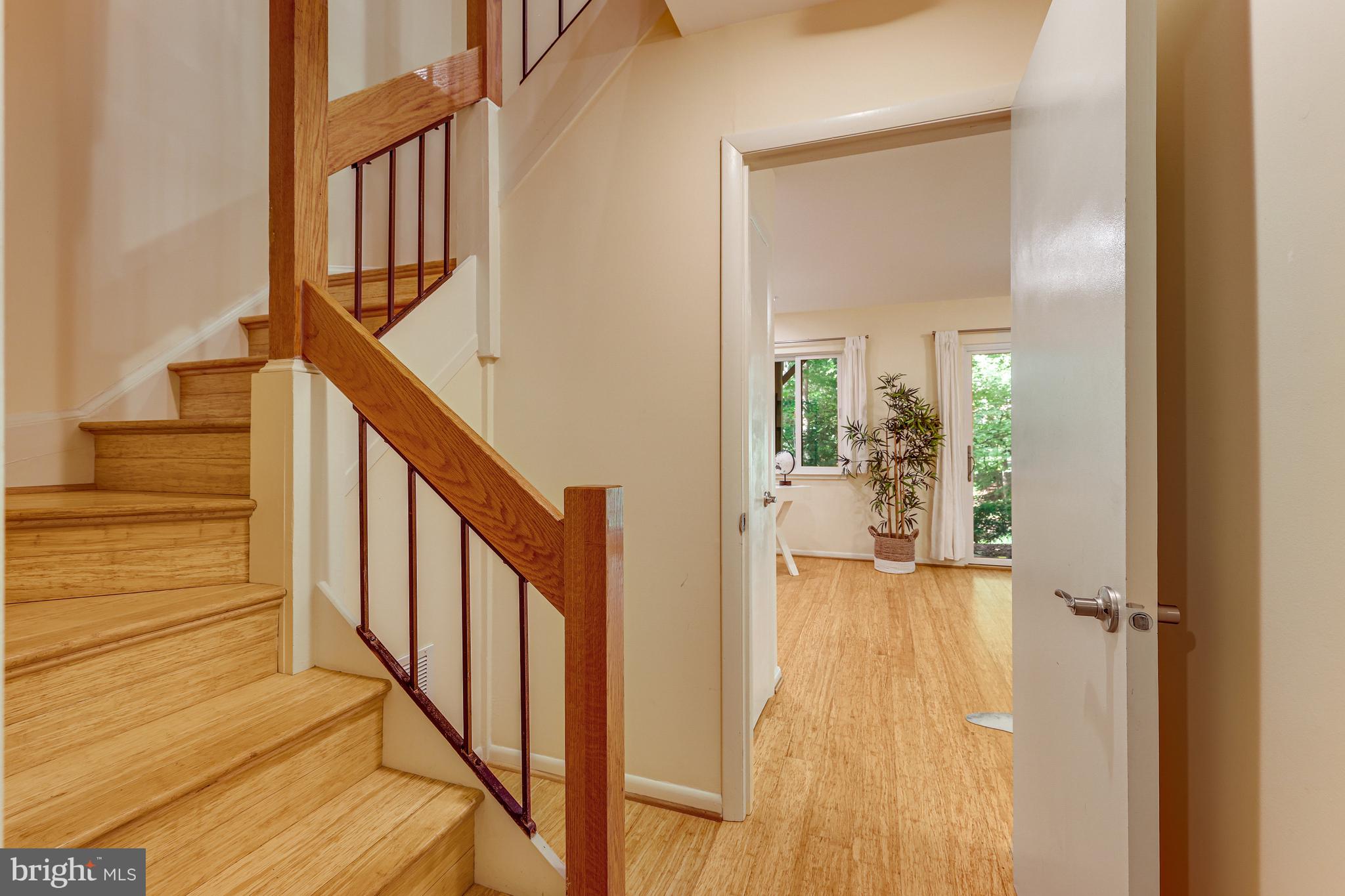 11529 BUTTONWOOD COURT