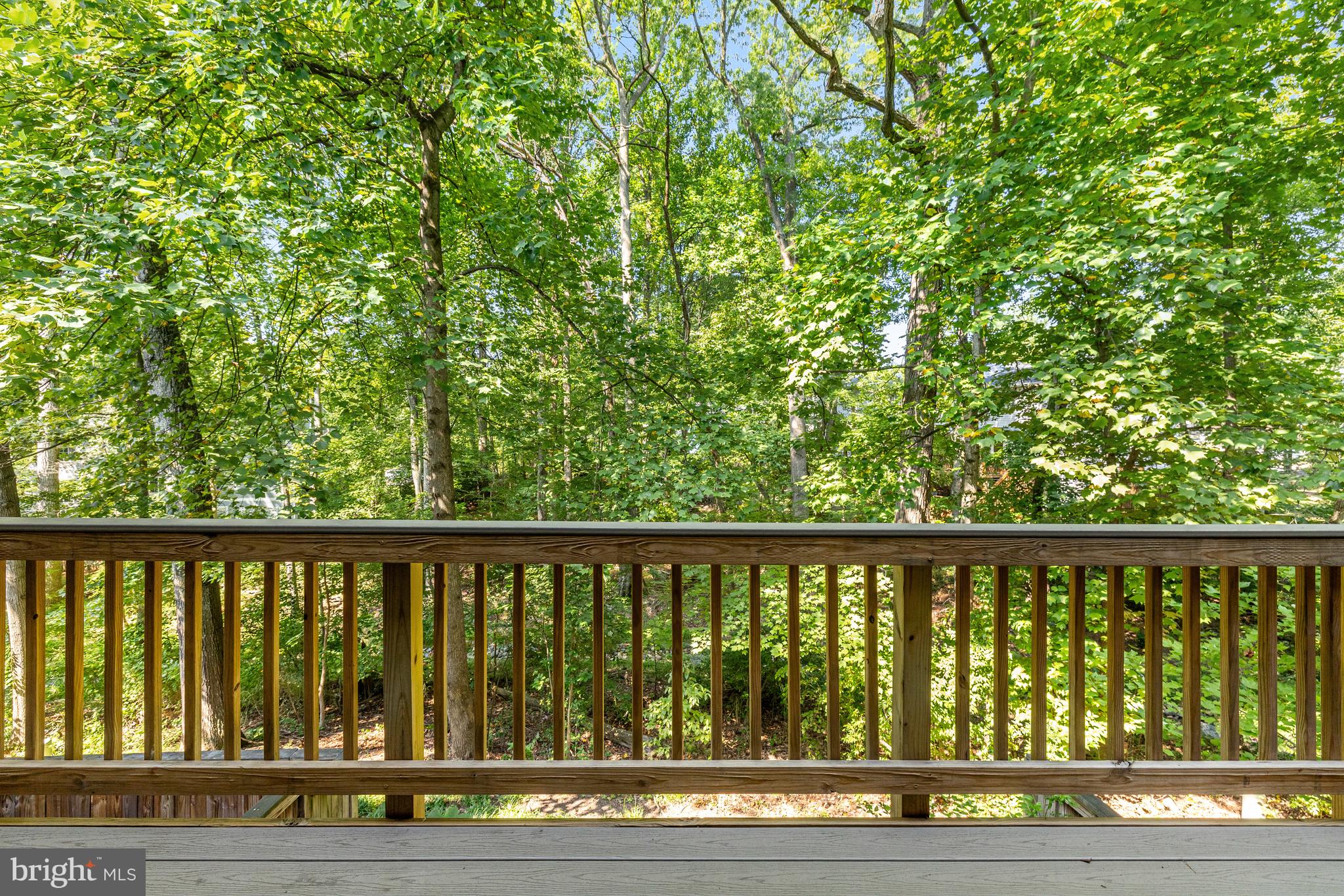 11529 BUTTONWOOD COURT