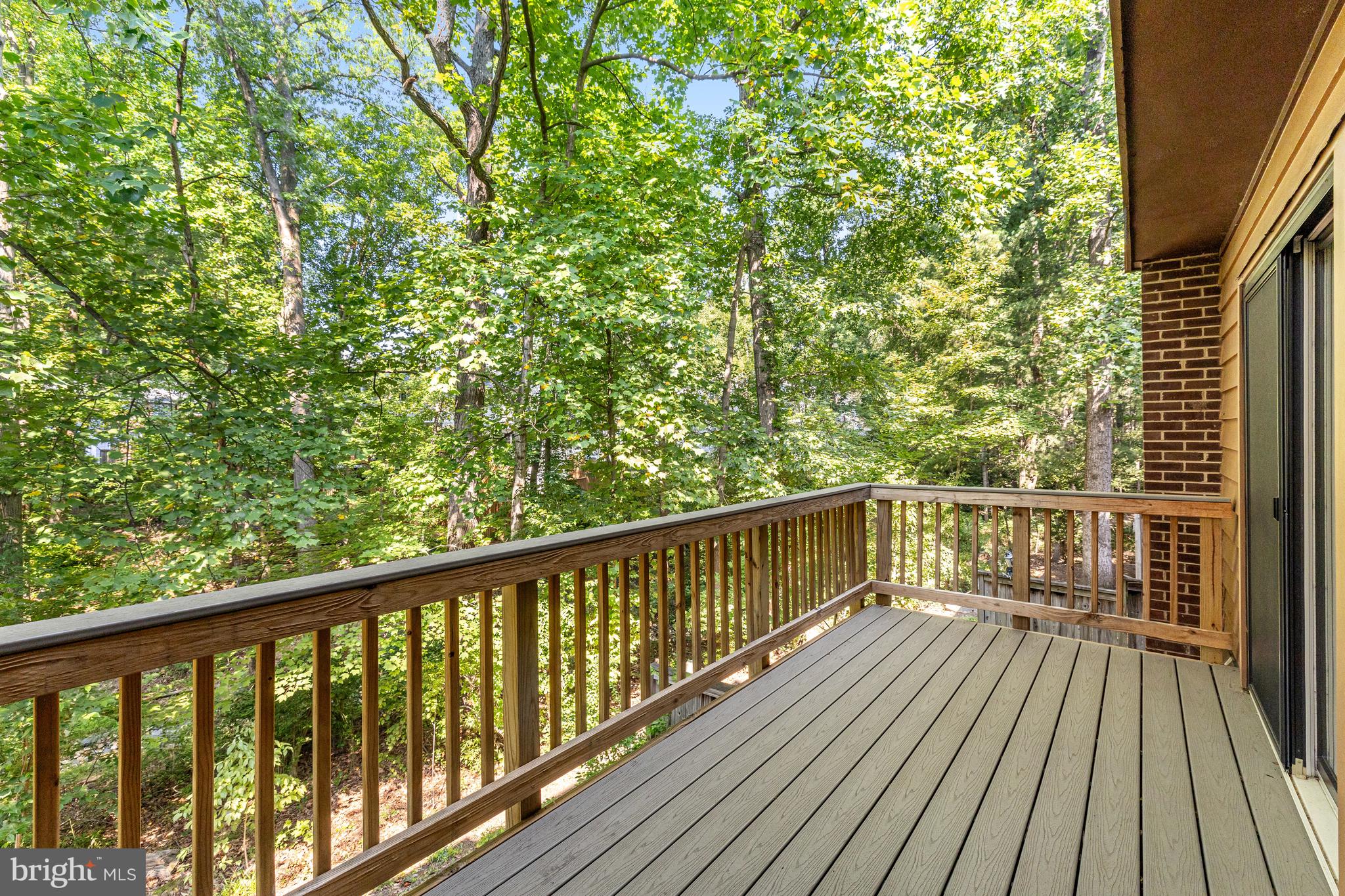 11529 BUTTONWOOD COURT