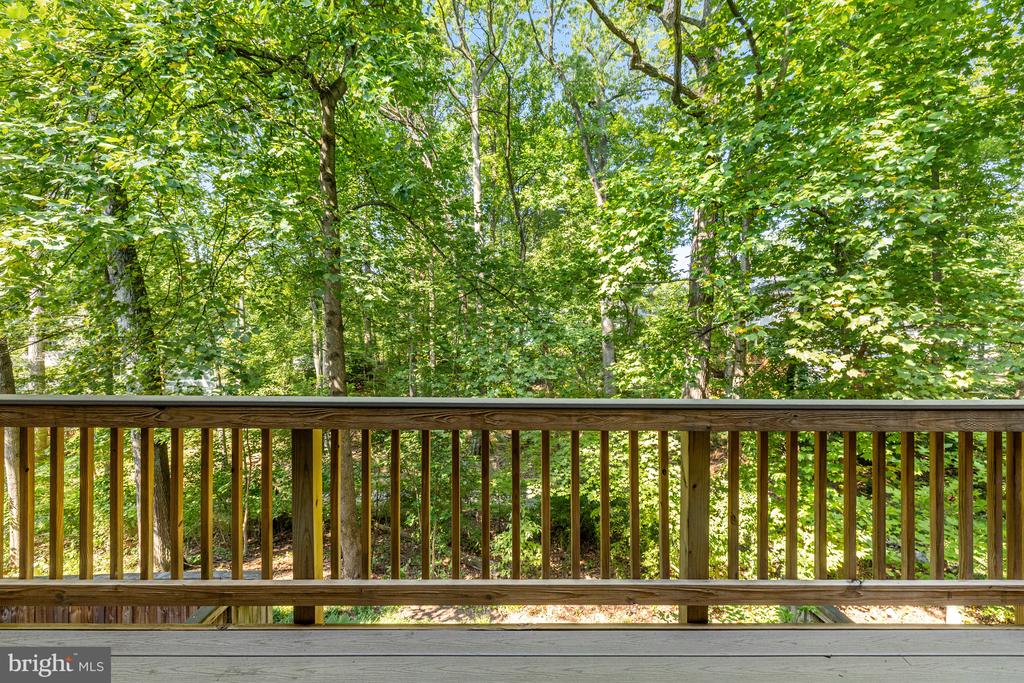 11529 BUTTONWOOD COURT