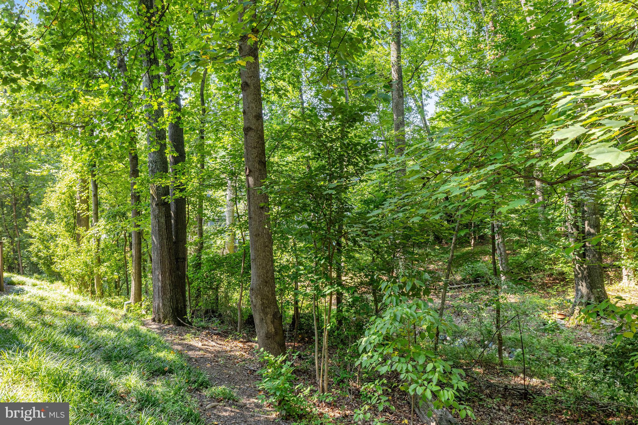 11529 BUTTONWOOD COURT