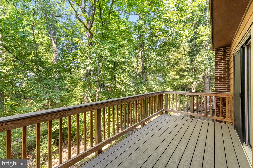 11529 BUTTONWOOD COURT