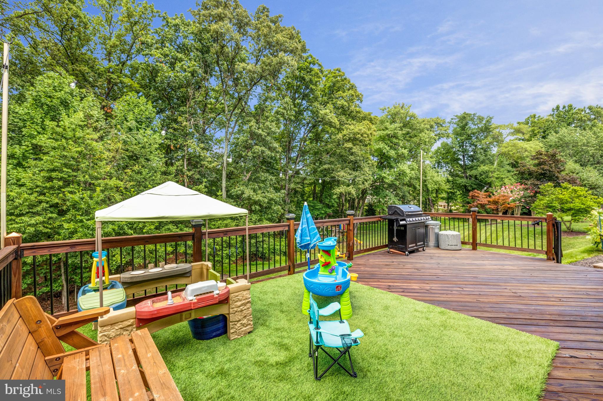 11602 ROLLING MEADOW DRIVE