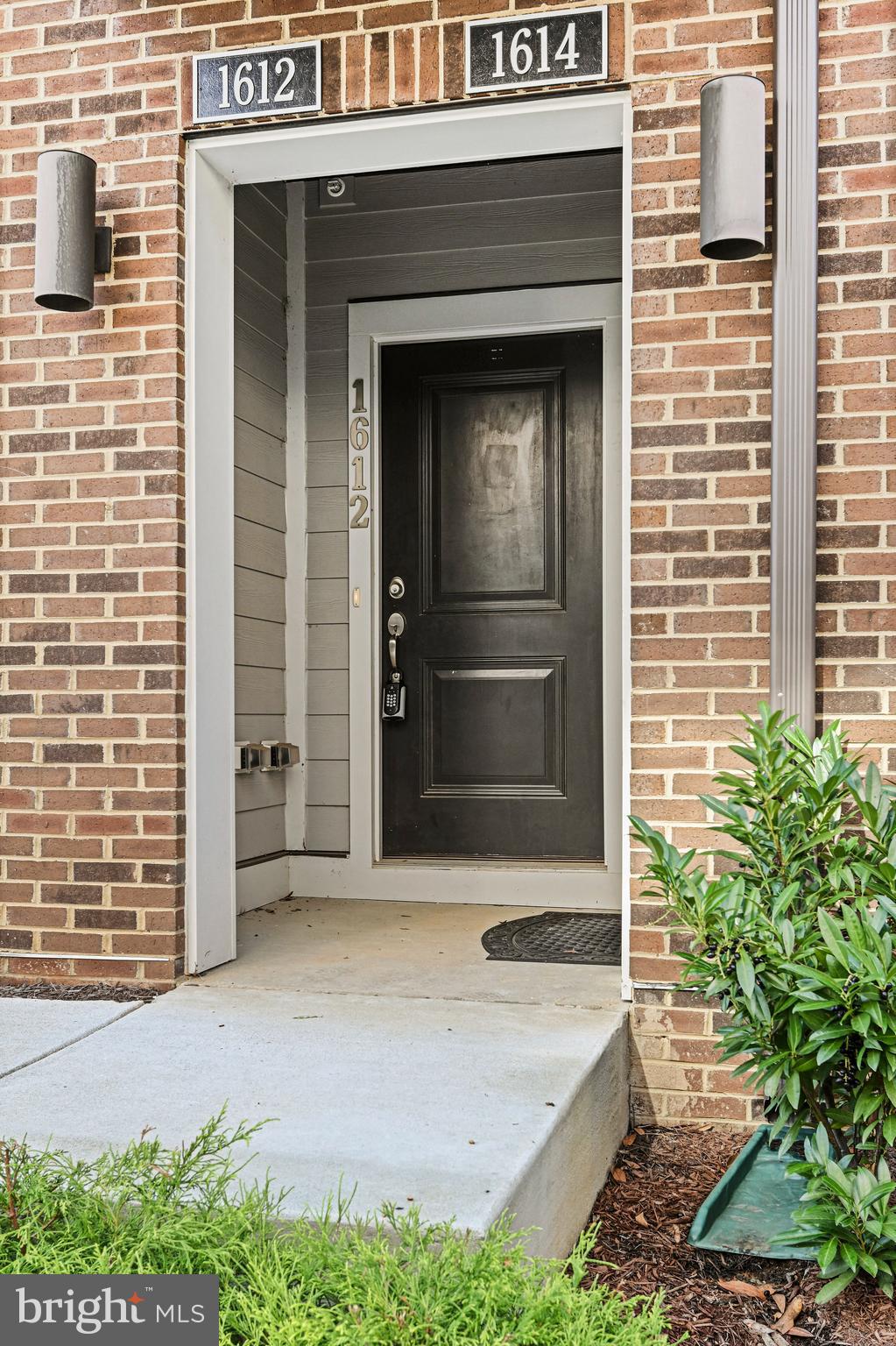 1612 BANDIT LOOP 11B