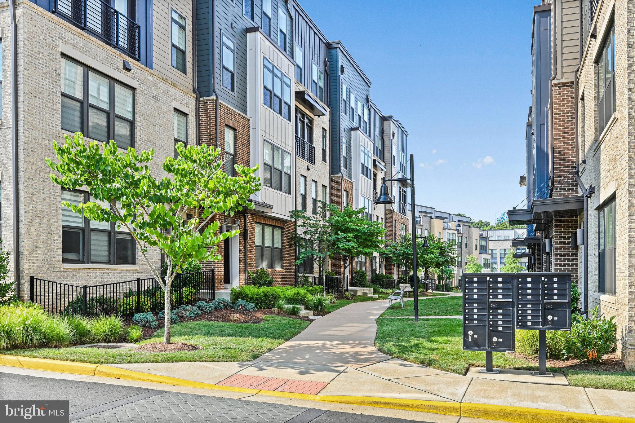 1612 BANDIT LOOP 11B