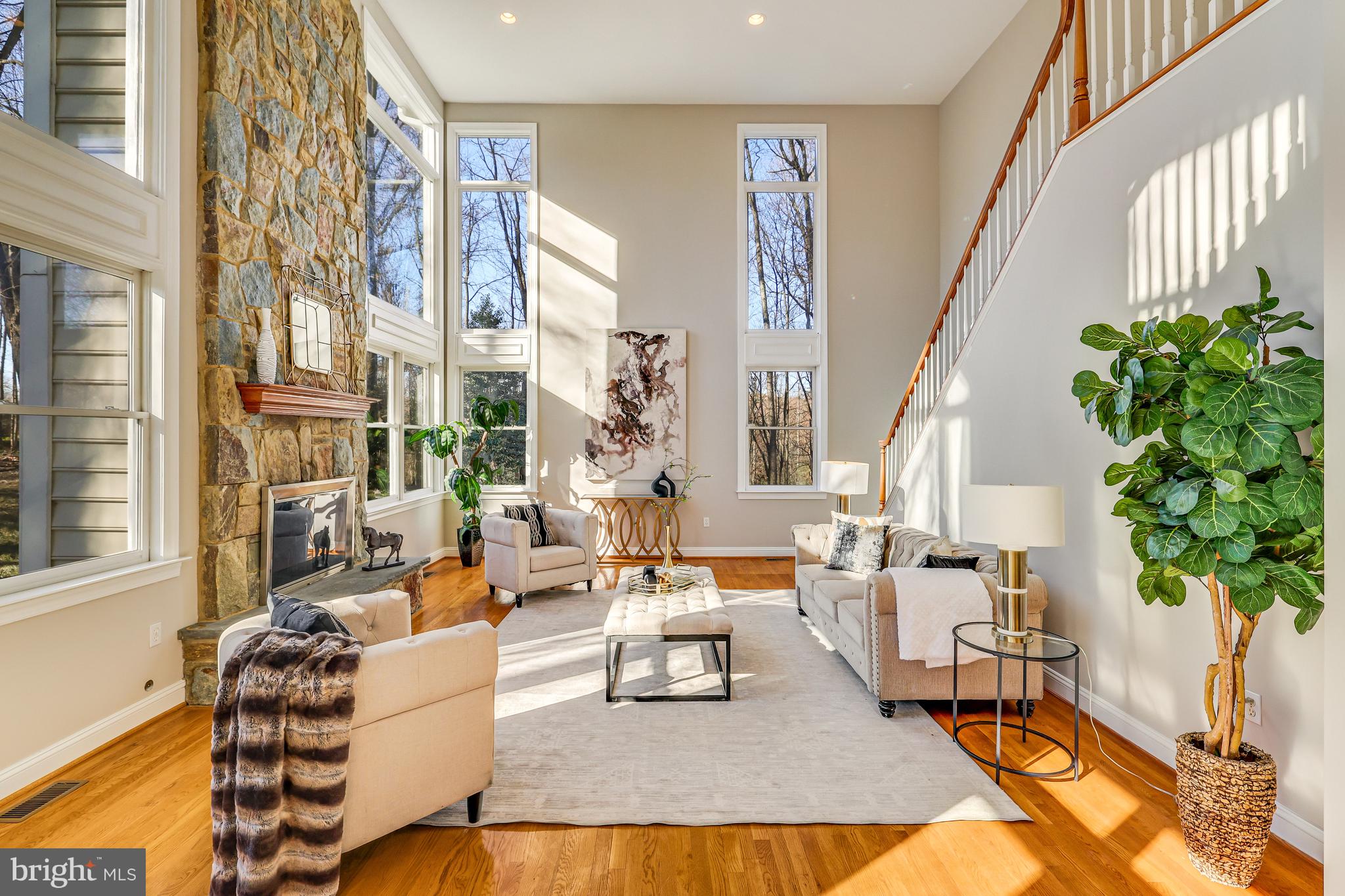 11001 GREEN BRANCH COURT