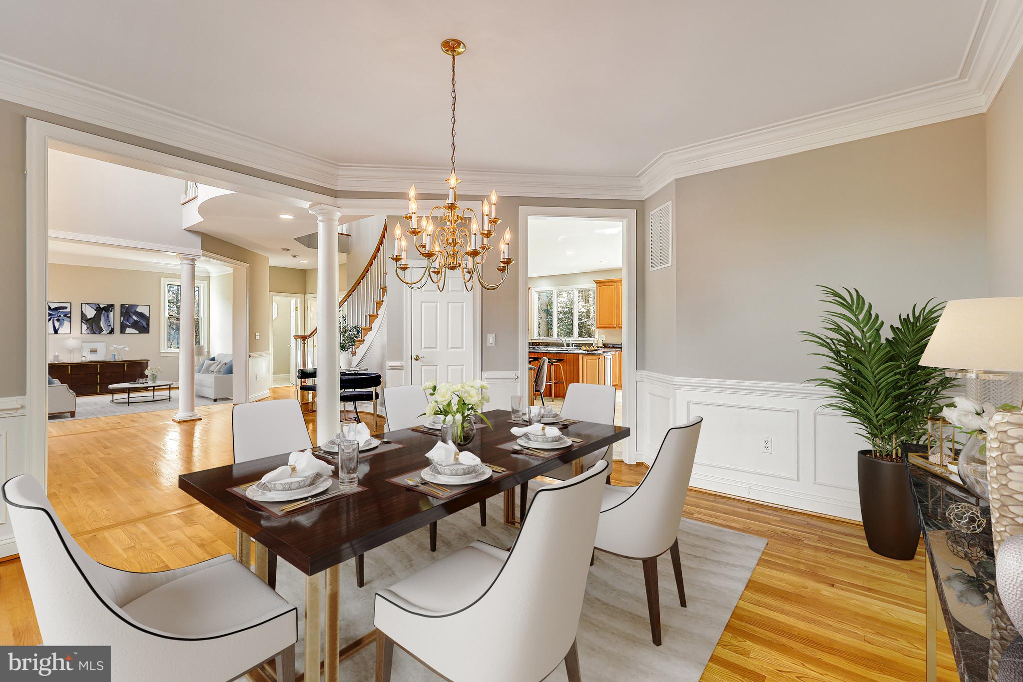 11001 GREEN BRANCH COURT