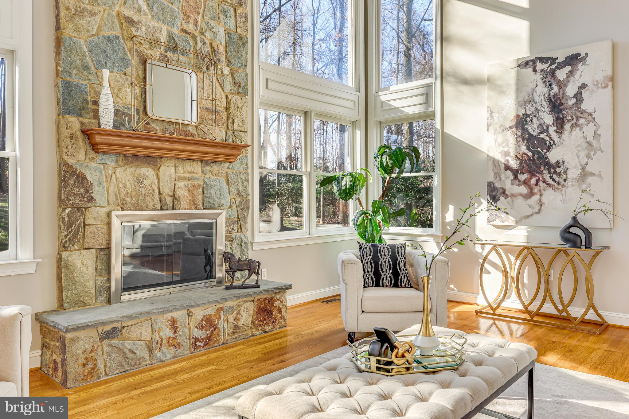 11001 GREEN BRANCH COURT