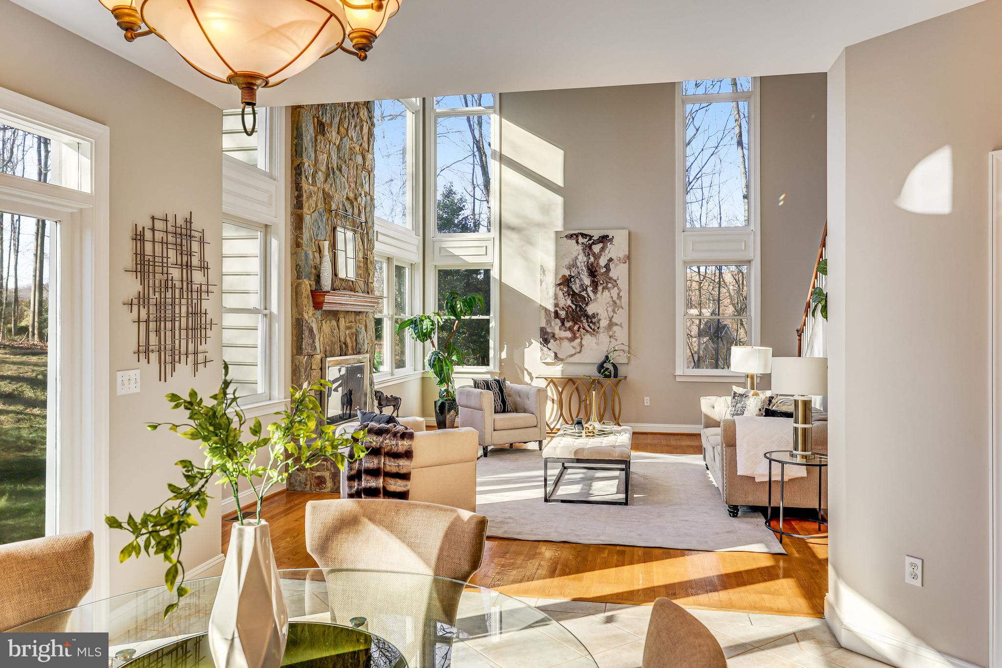 11001 GREEN BRANCH COURT