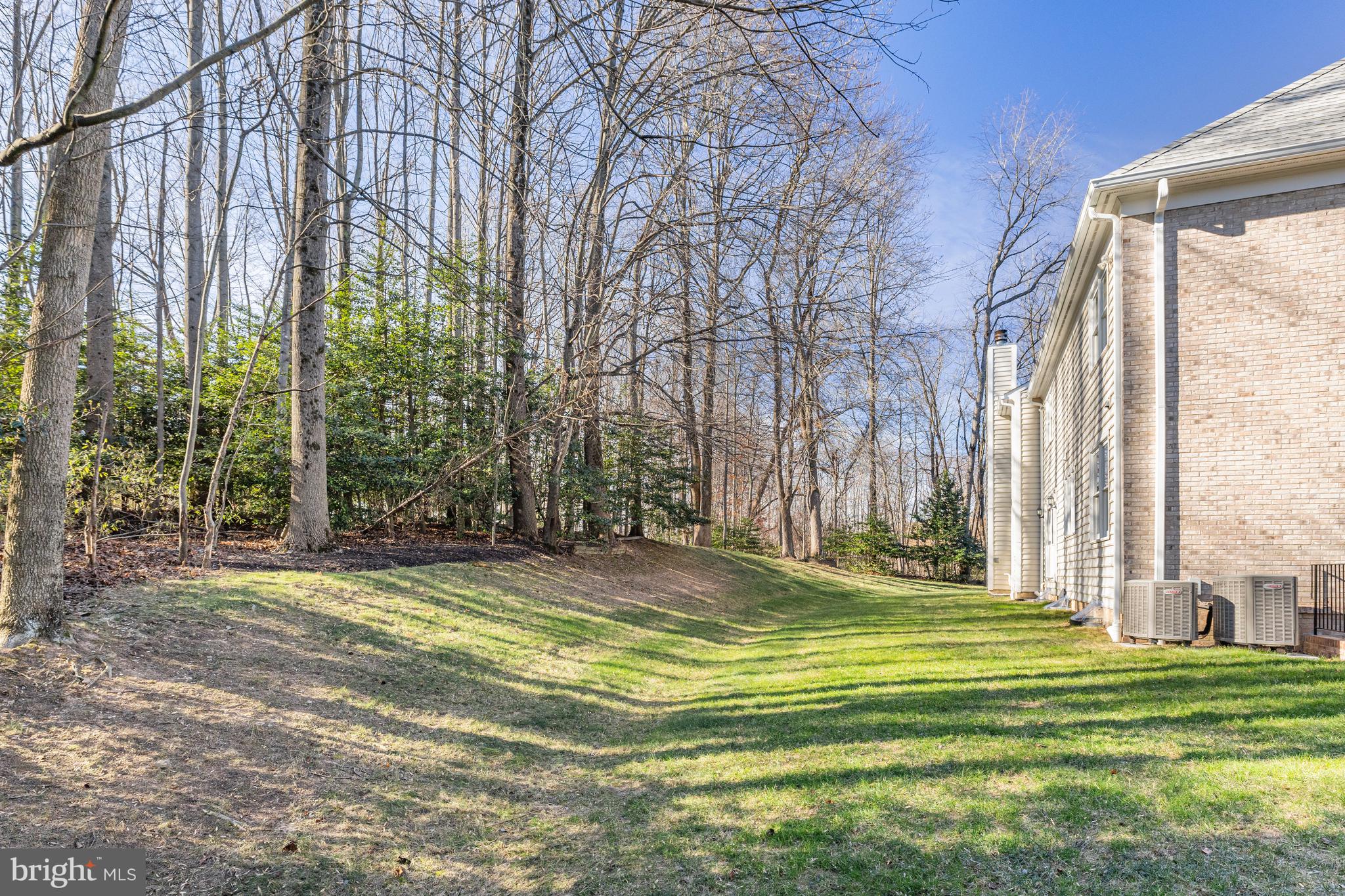 11001 GREEN BRANCH COURT